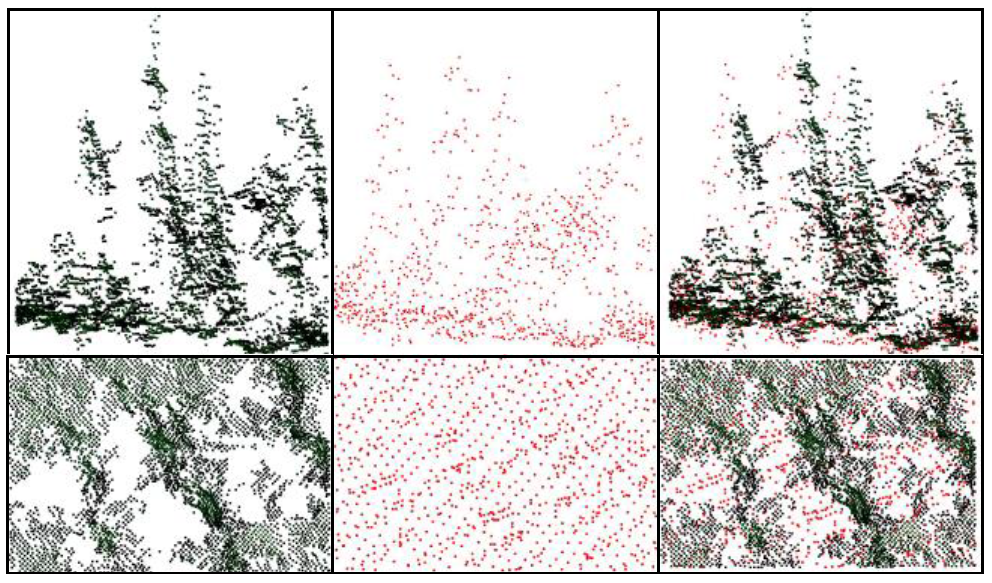 Forests 06 03899 g001