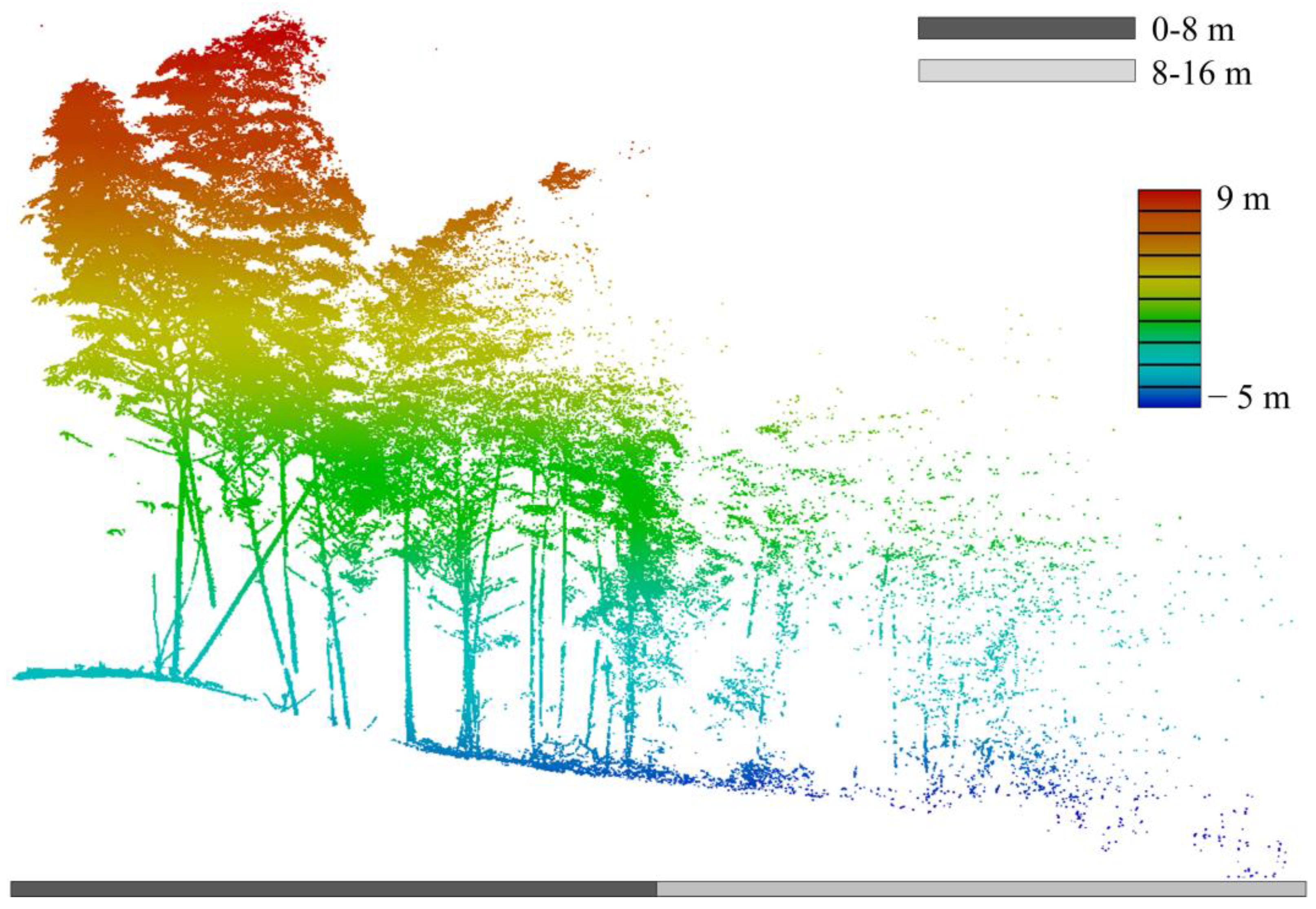Forests 06 03923 g009