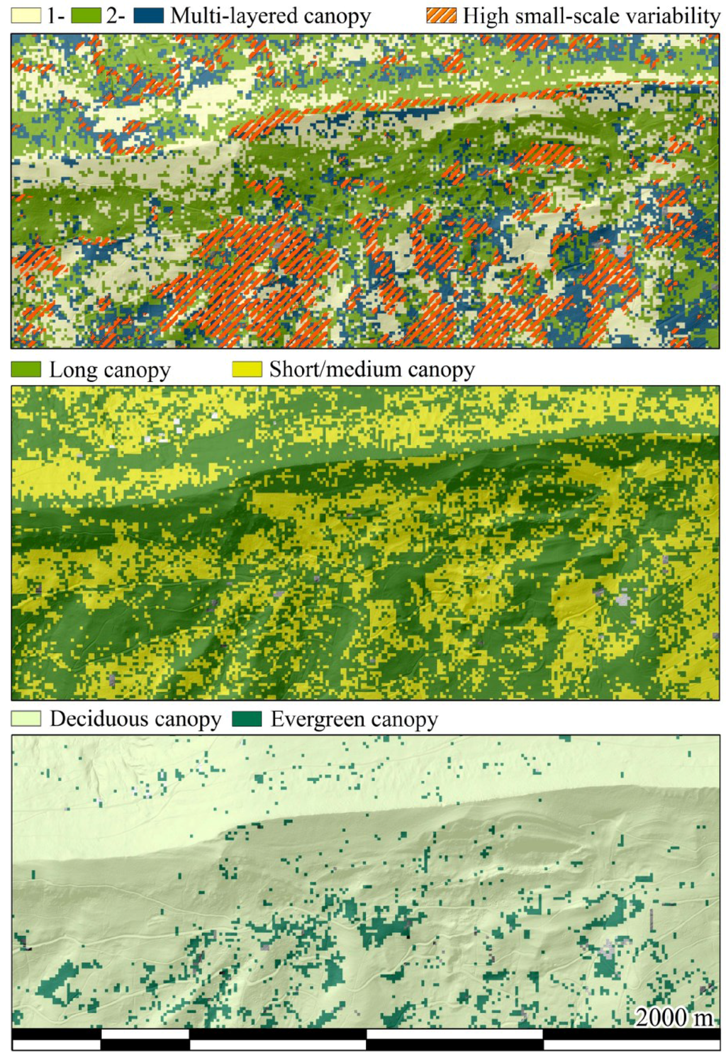 Forests 06 04146 g004 1024