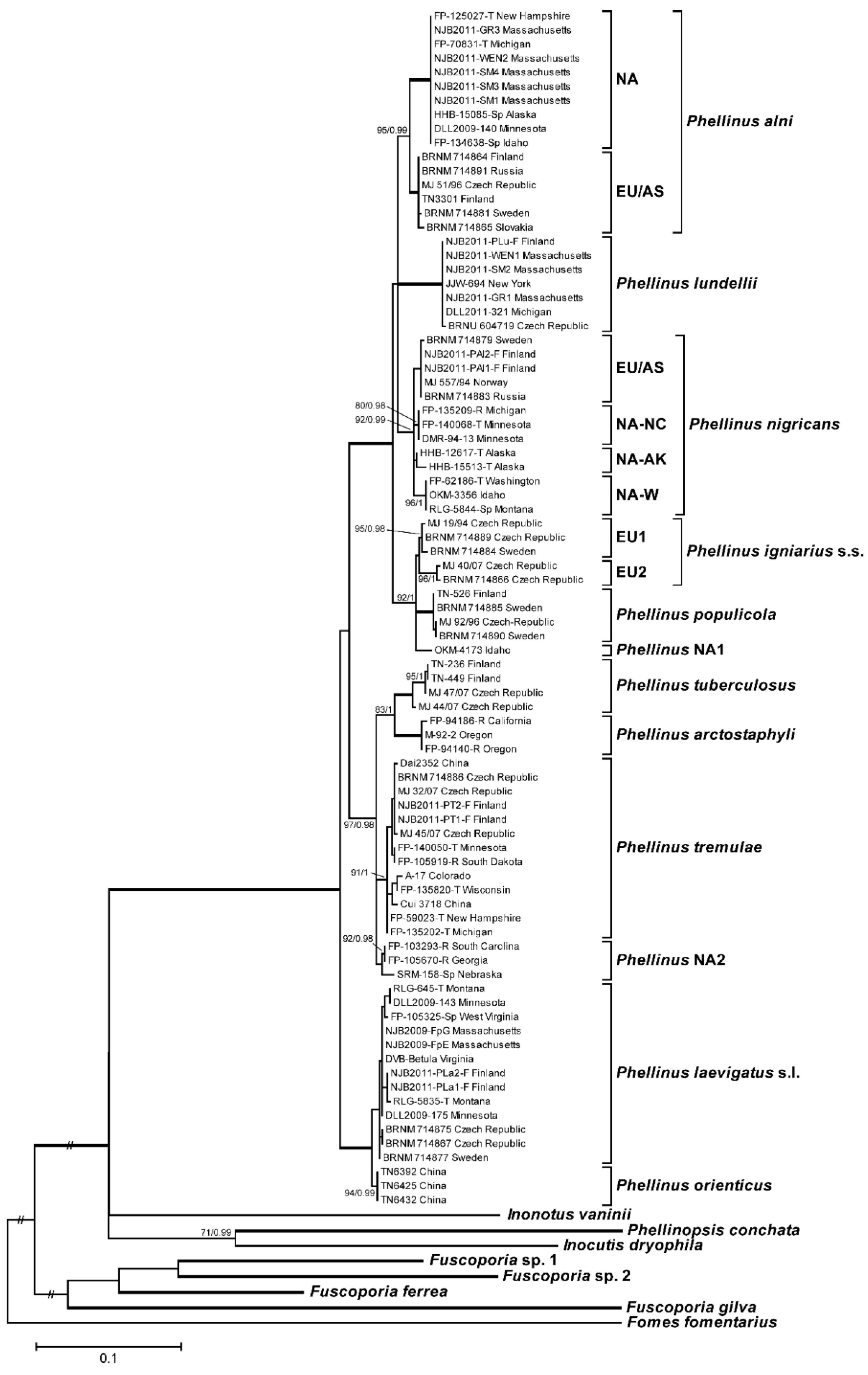 Forests 06 04191 g001