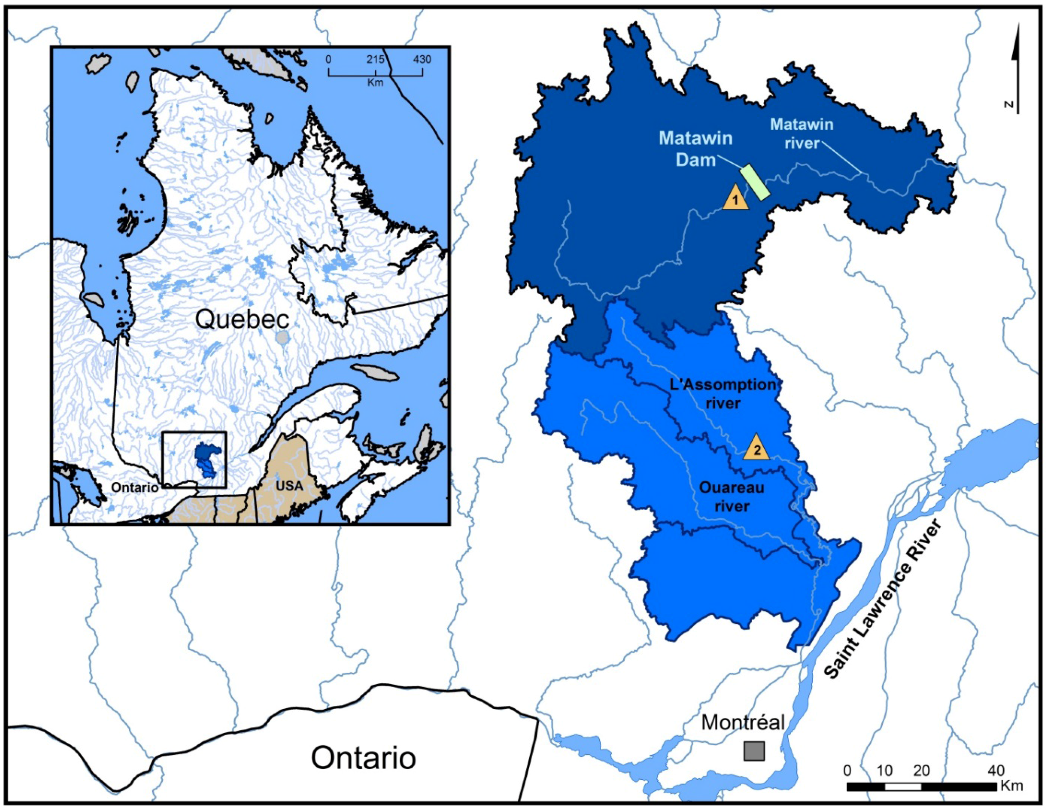 Forests 06 04349 g001 1024