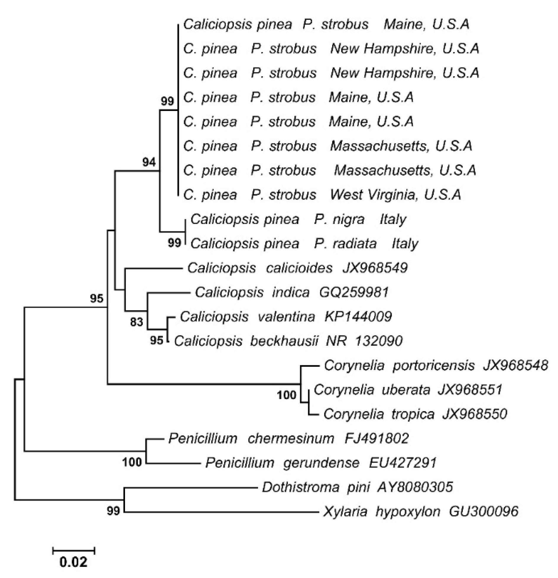 Forests 06 04360 g003 1024