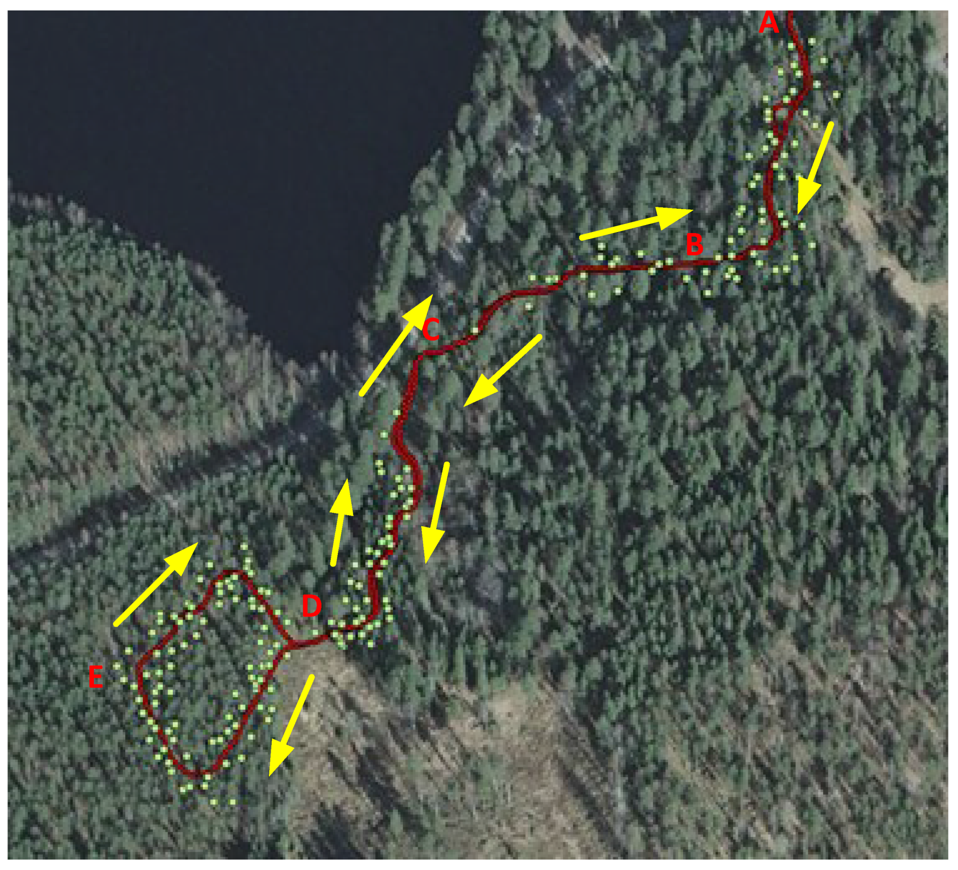 Forests 06 04390 g005 1024