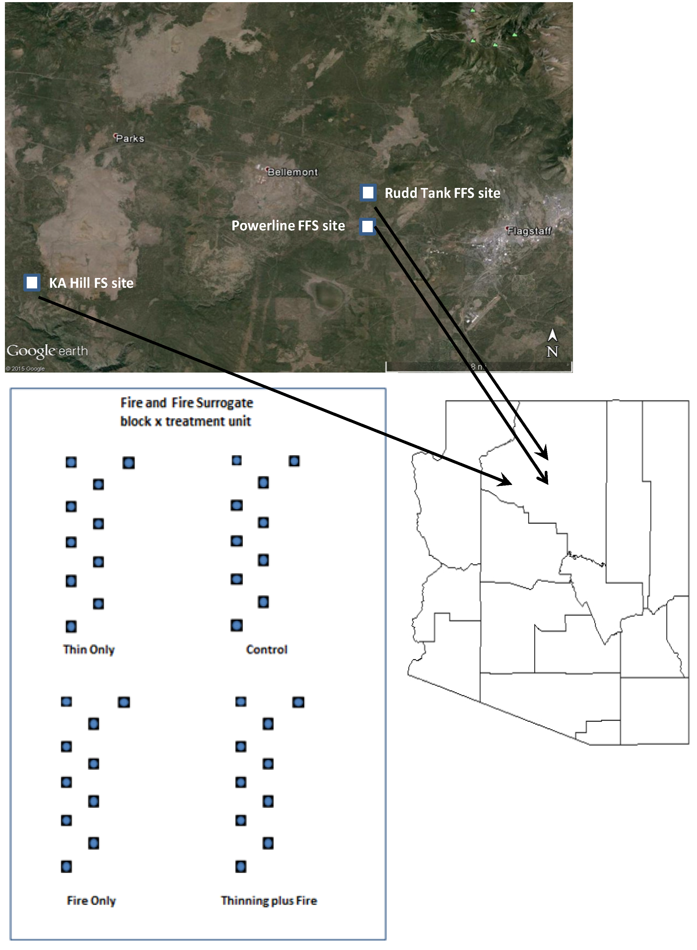 Forests 07 00045 g001 1024