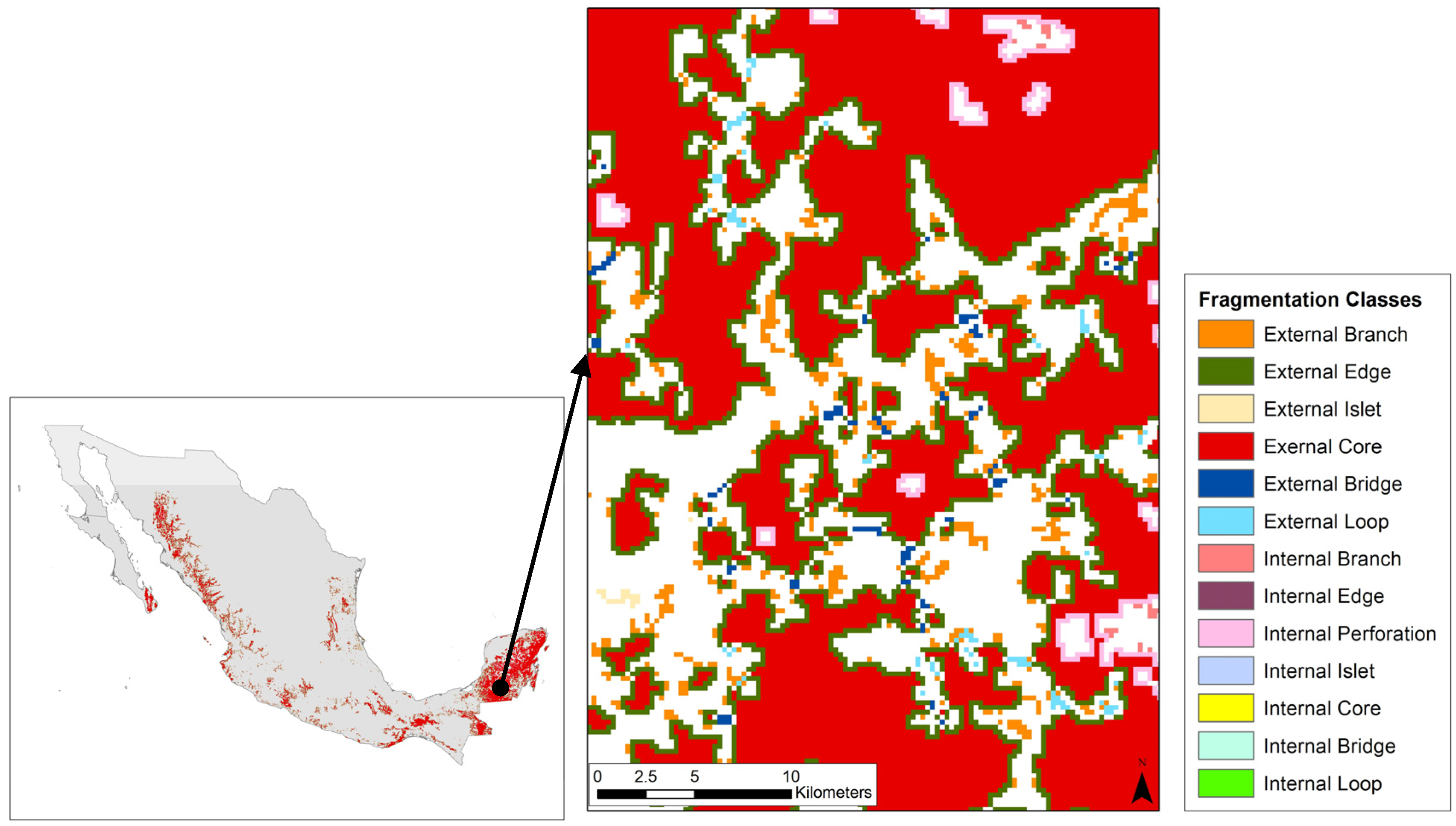 Forests 07 00048 g004 1024