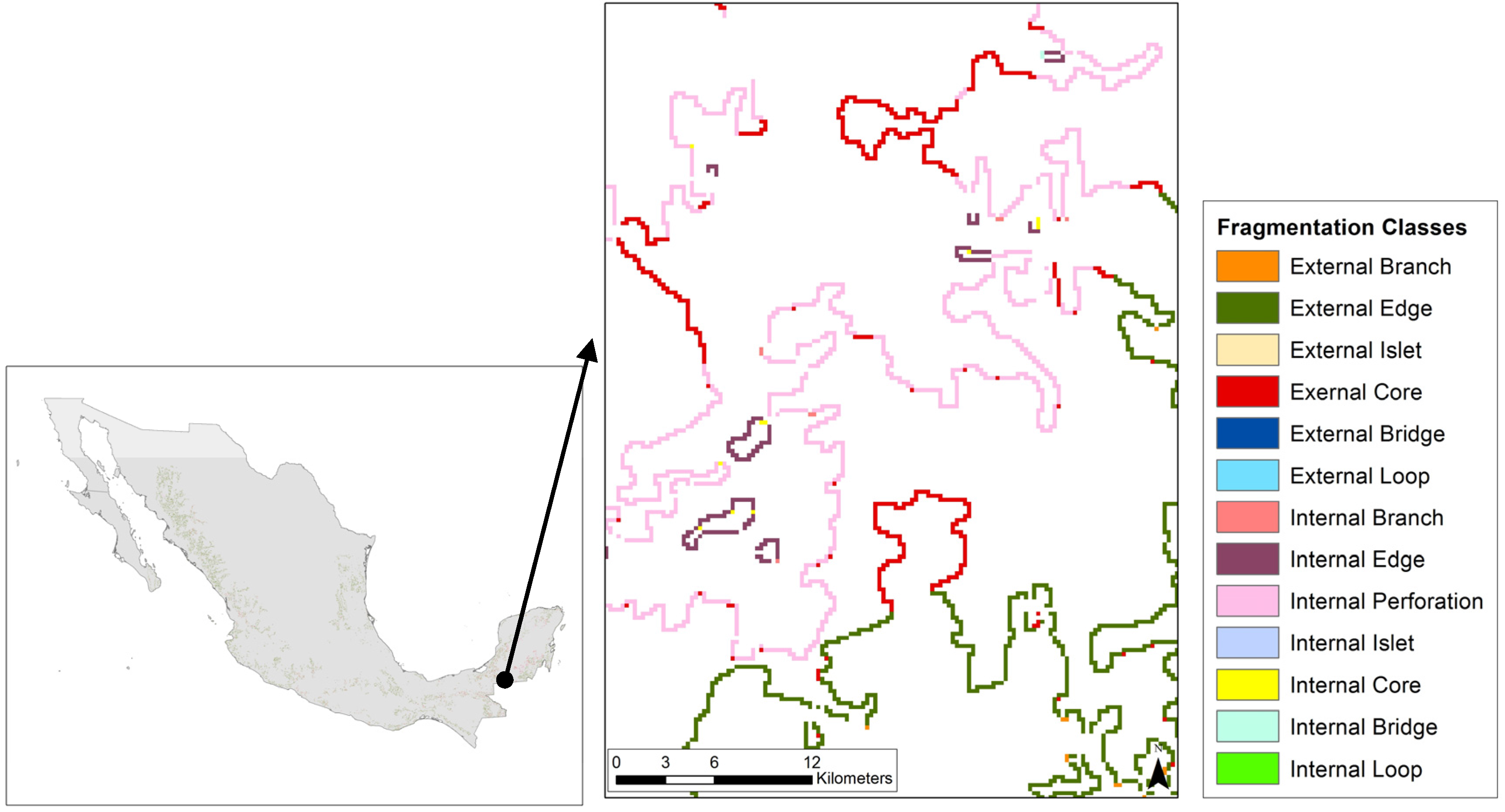 Forests 07 00048 g006 1024
