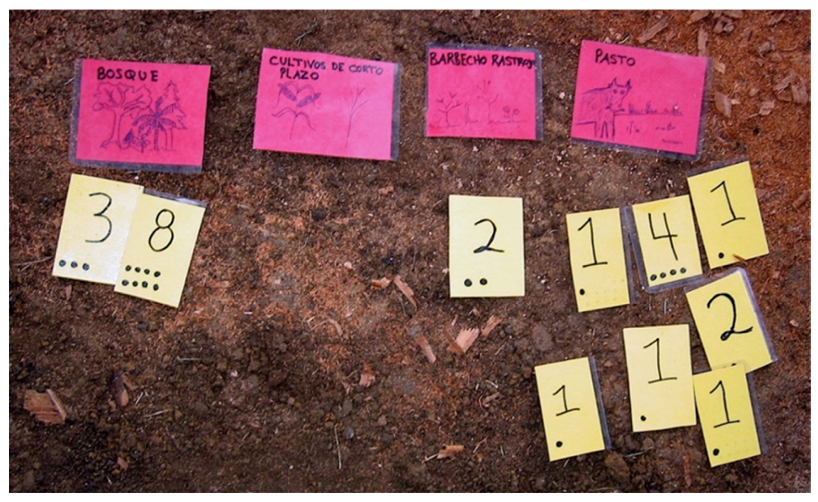 Forests 07 00055 g002