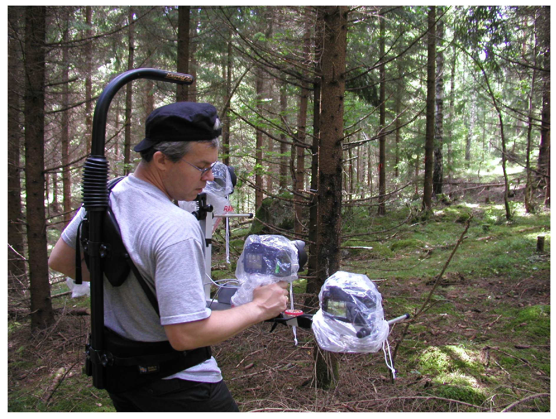 Forests 07 00061 g002