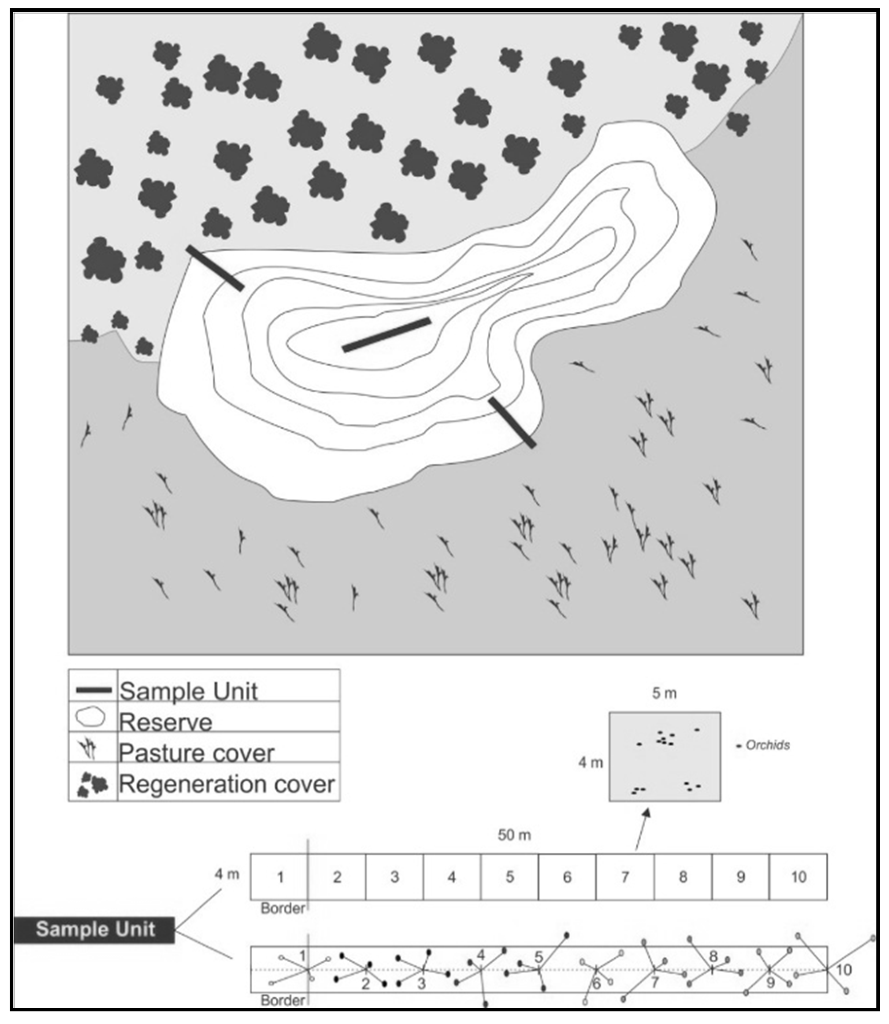 Forests 07 00063 g002