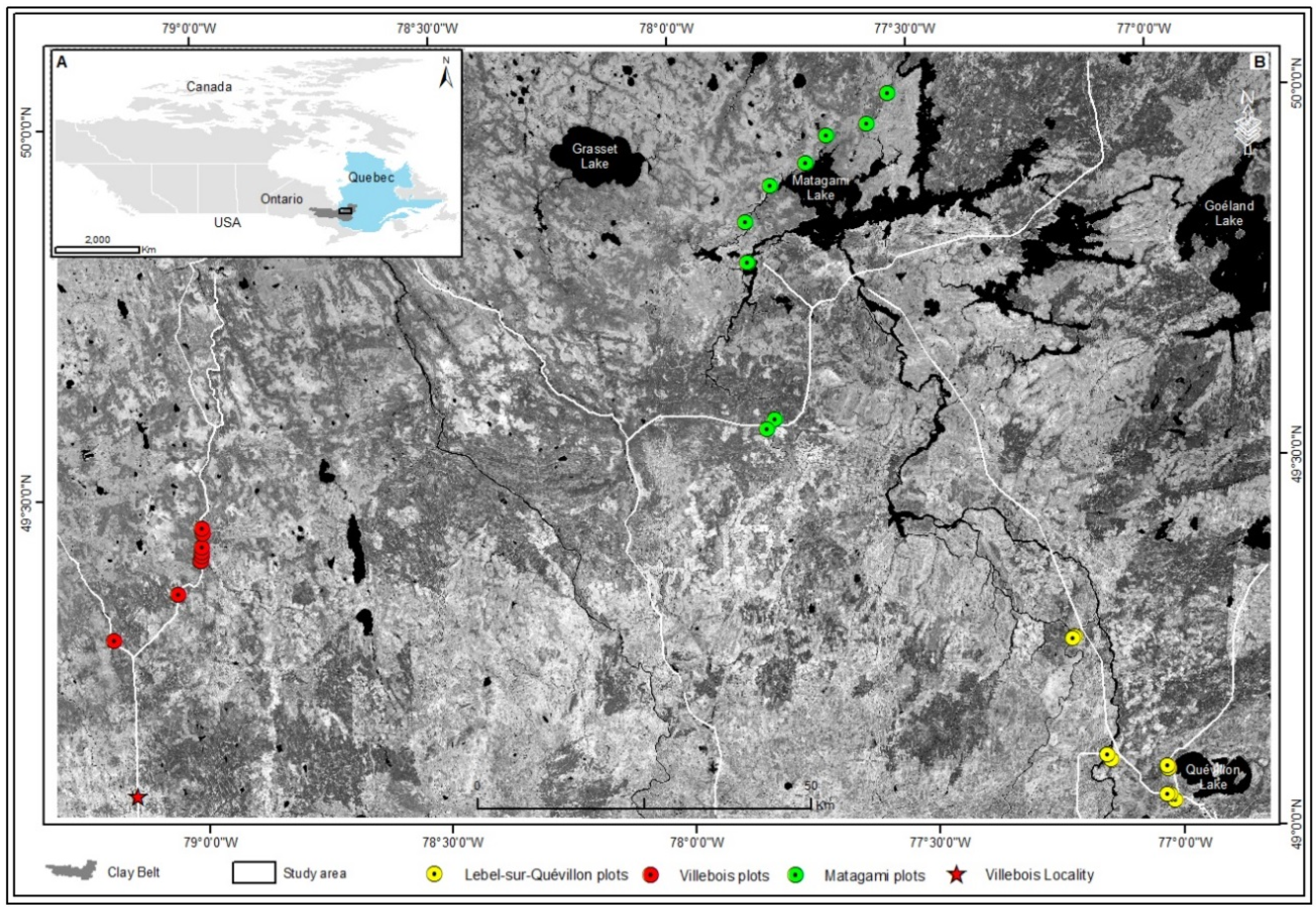 Forests 07 00069 g001 1024