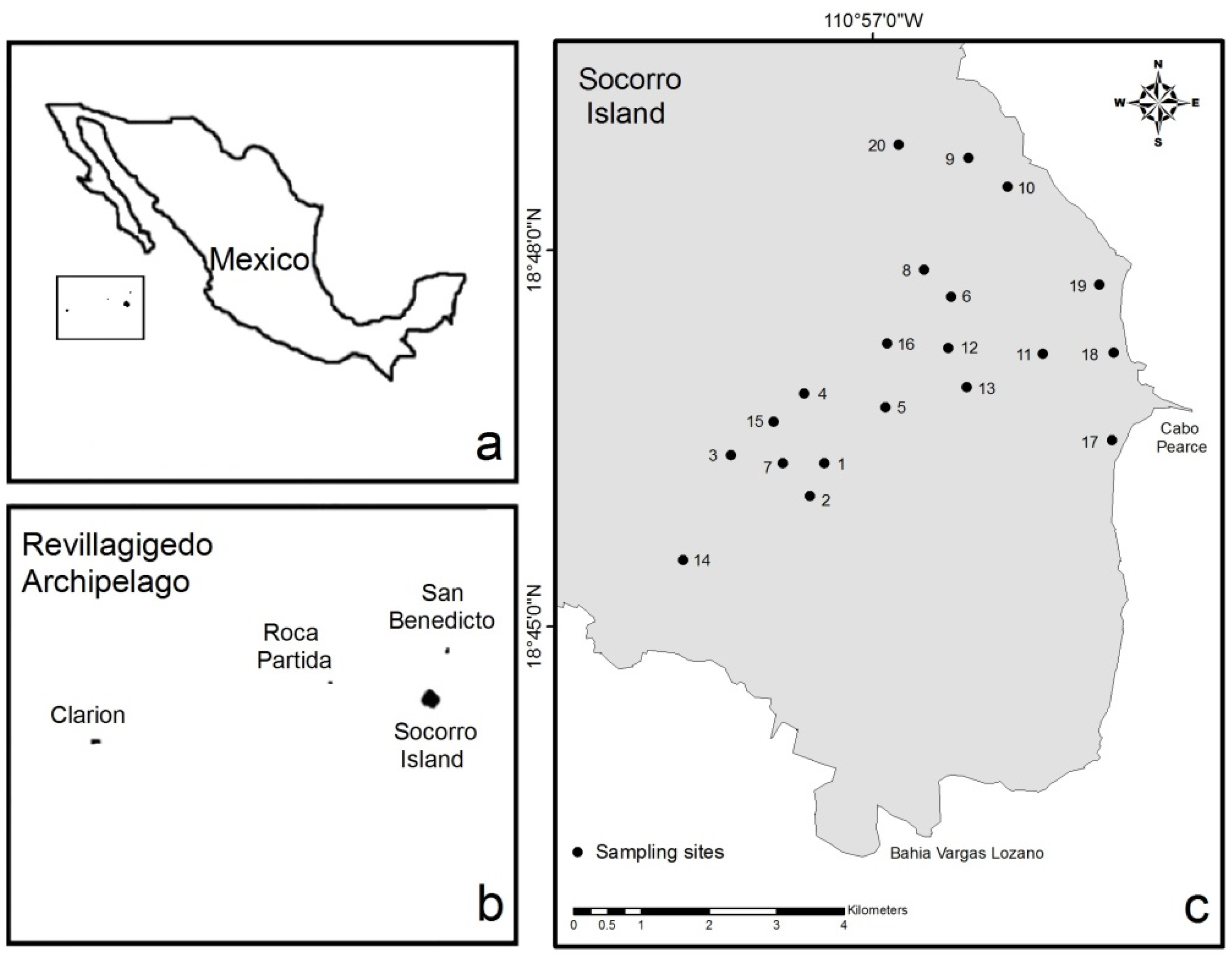Forests 07 00091 g001 1024