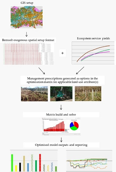 Forests | Free Full-Text | A Linear Programming Model to Biophysically ...
