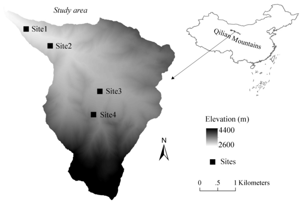 Forests 07 00140 g001 1024