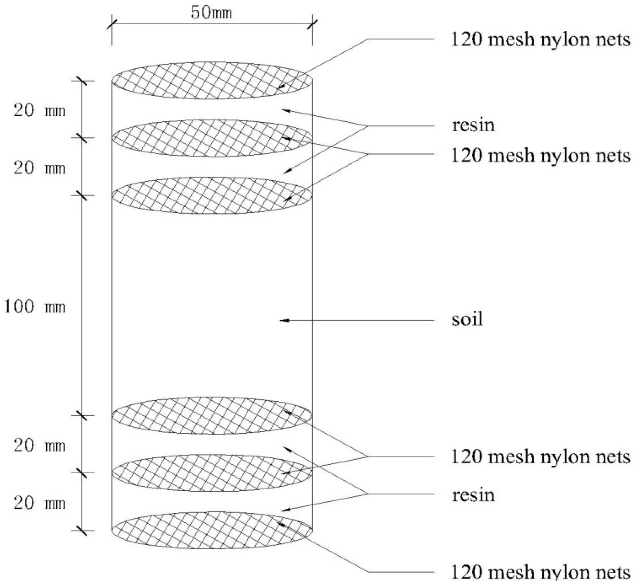 Forests 07 00141 g001 1024