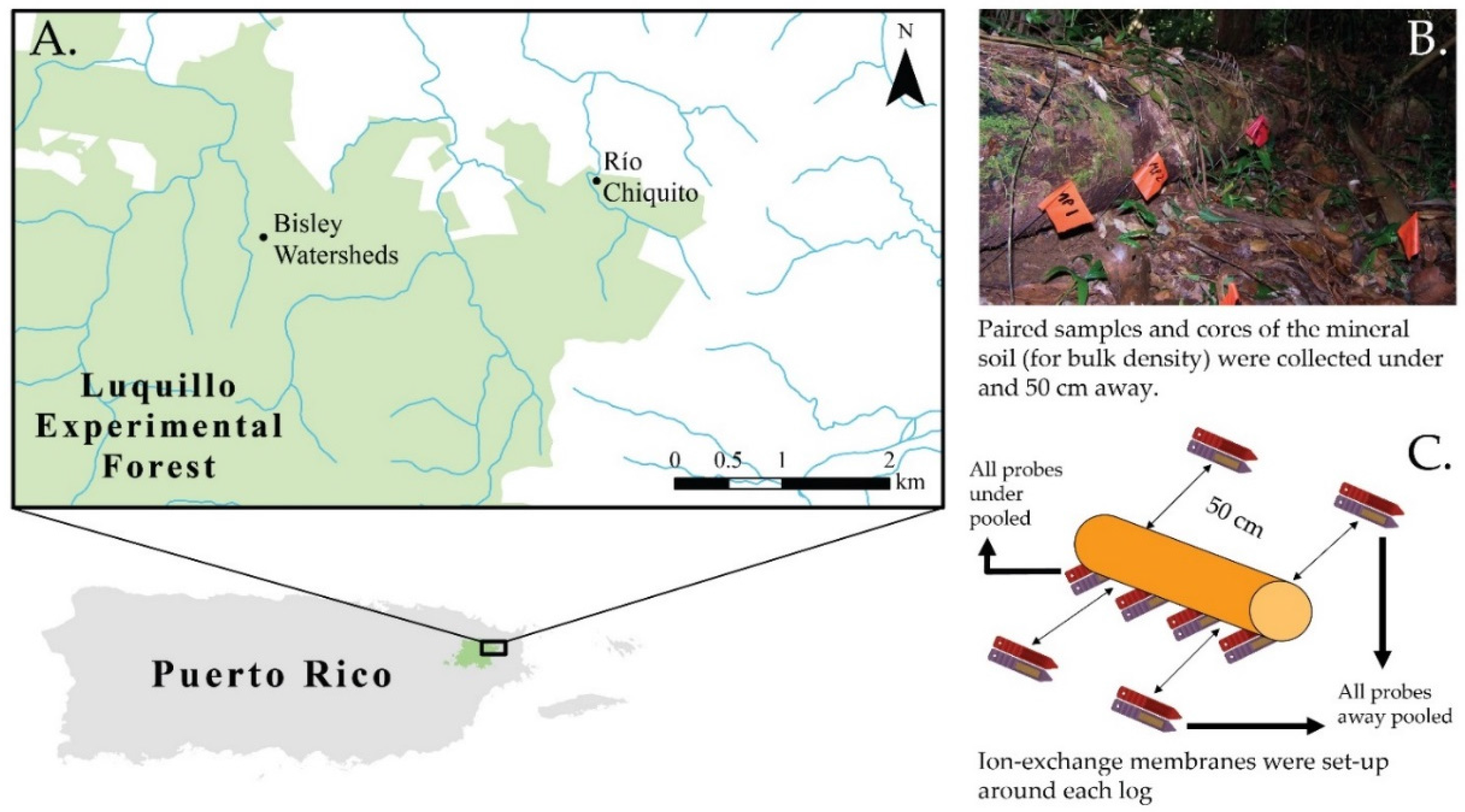 Forests 07 00168 g001