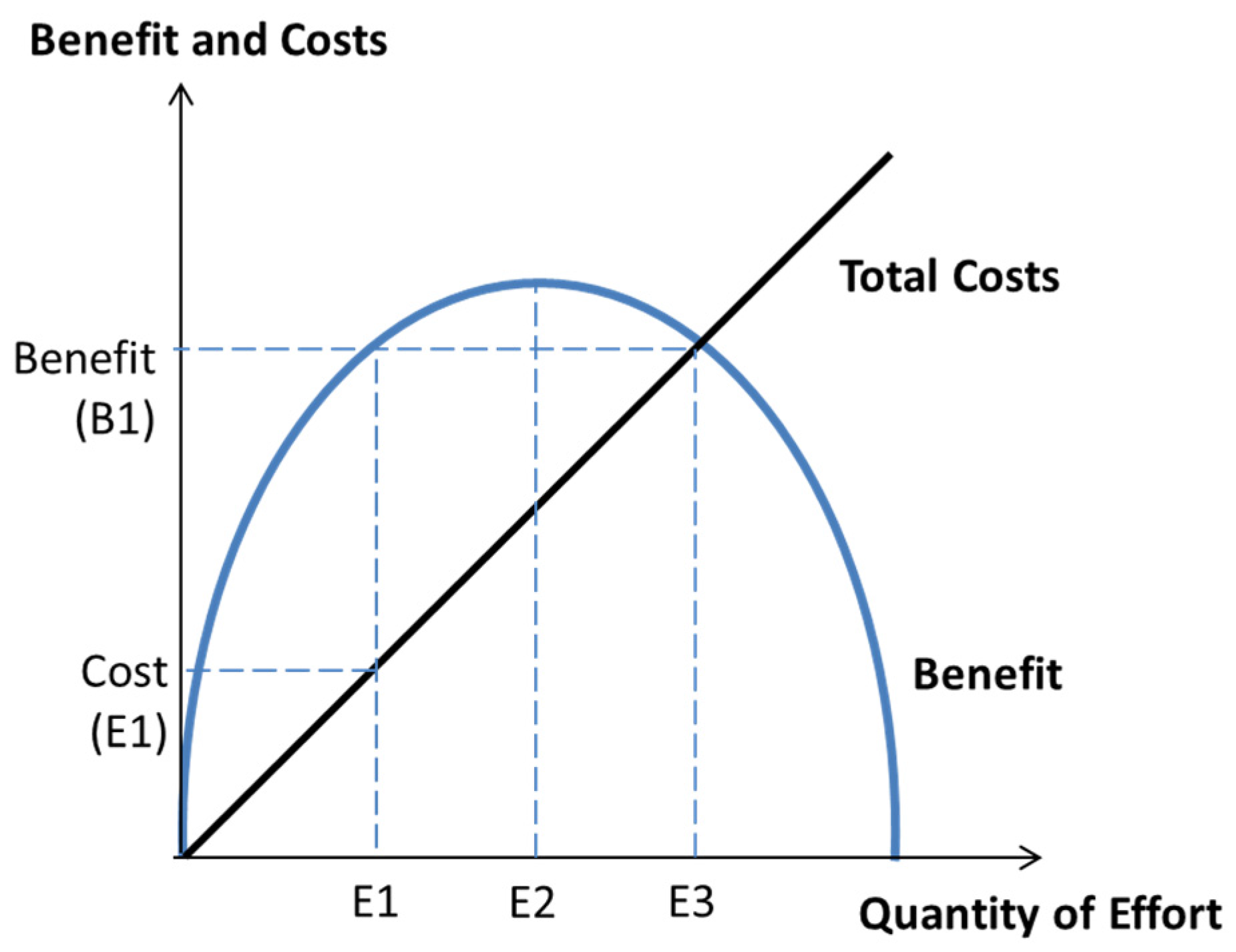 Forests 07 00182 g004 1024