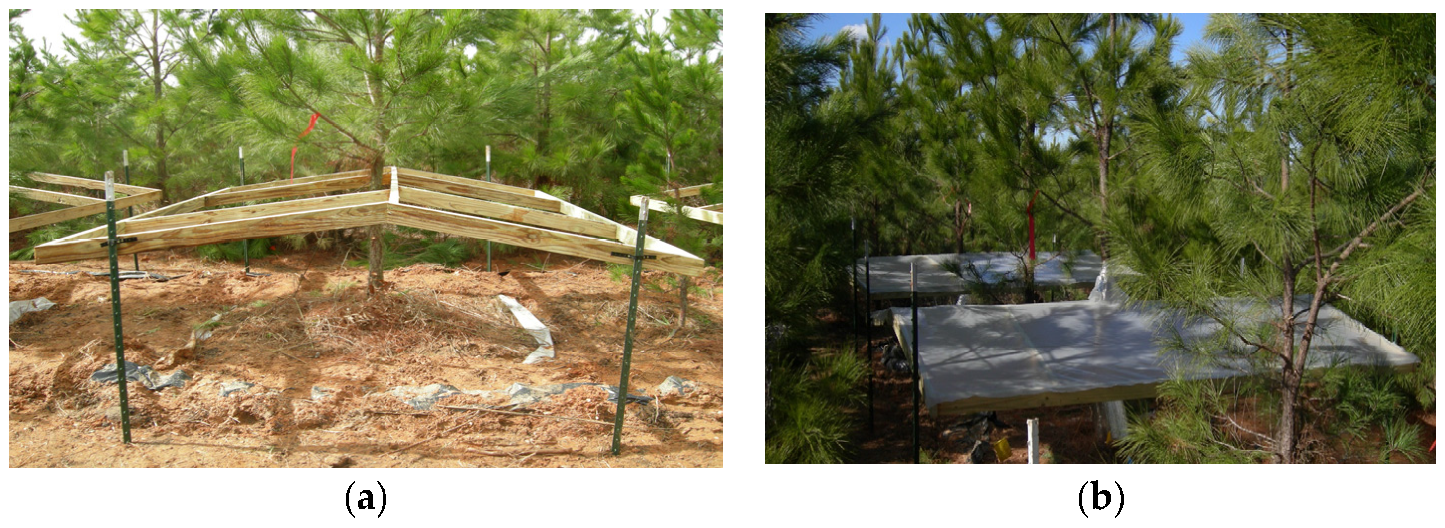 Forests 07 00203 g002