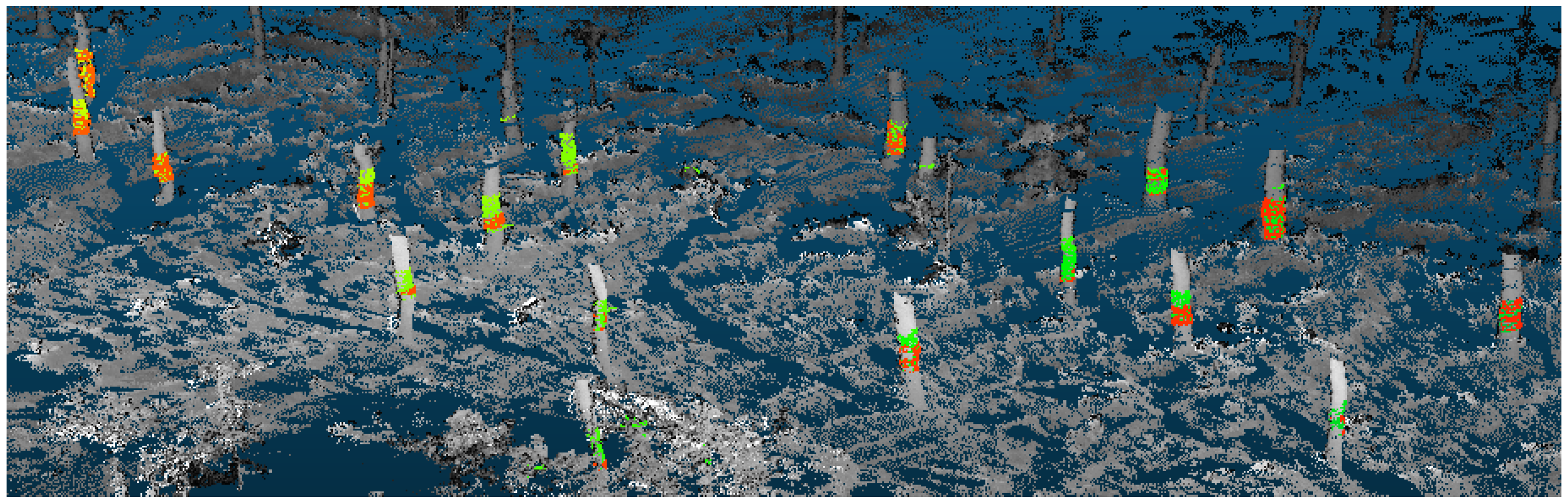 Forests 07 00206 g015