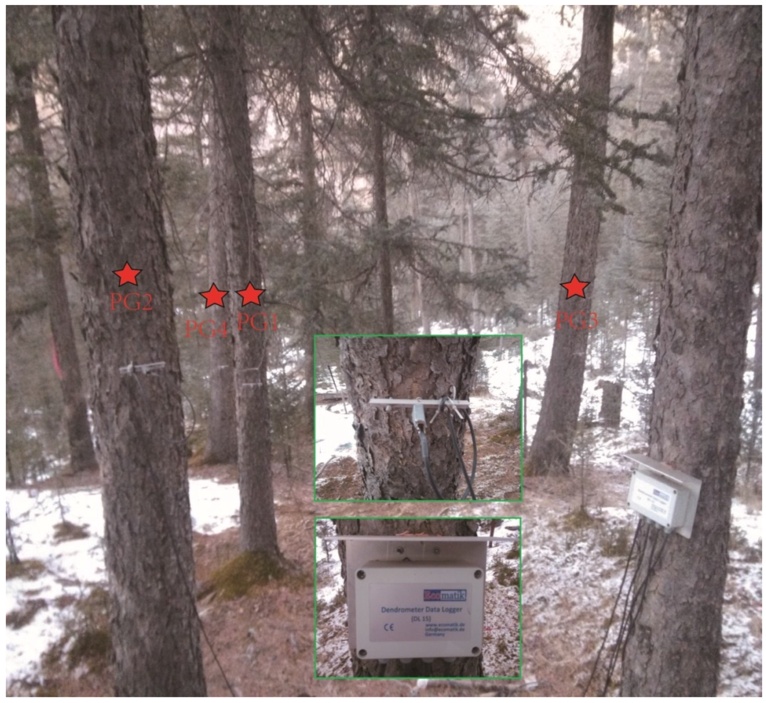 Forests 07 00210 g002 550