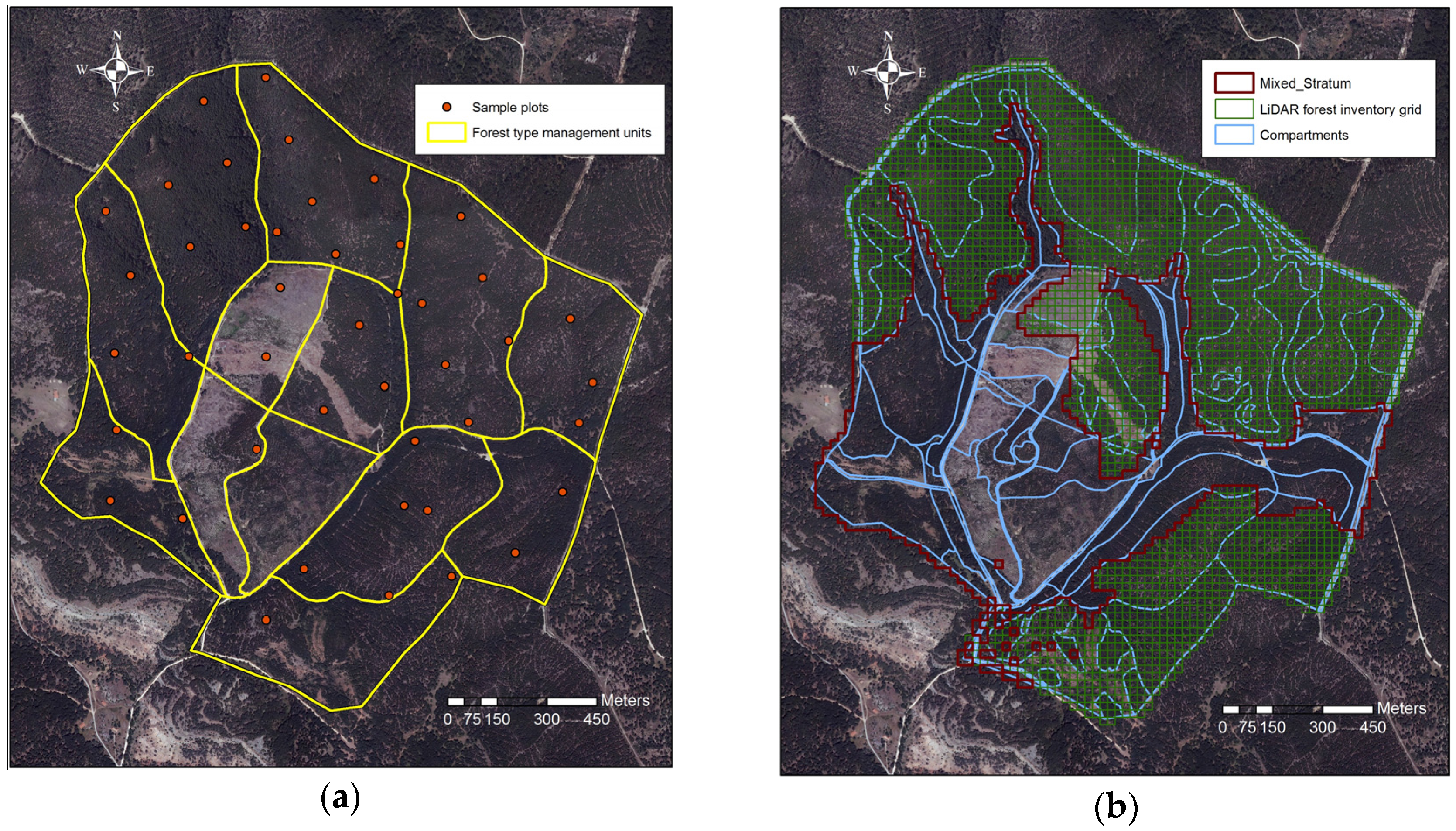 Forests Free Full Text Using Spatial Optimization To Create Dynamic Harvest Blocks From Lidar Based Small Interpretation Units Html
