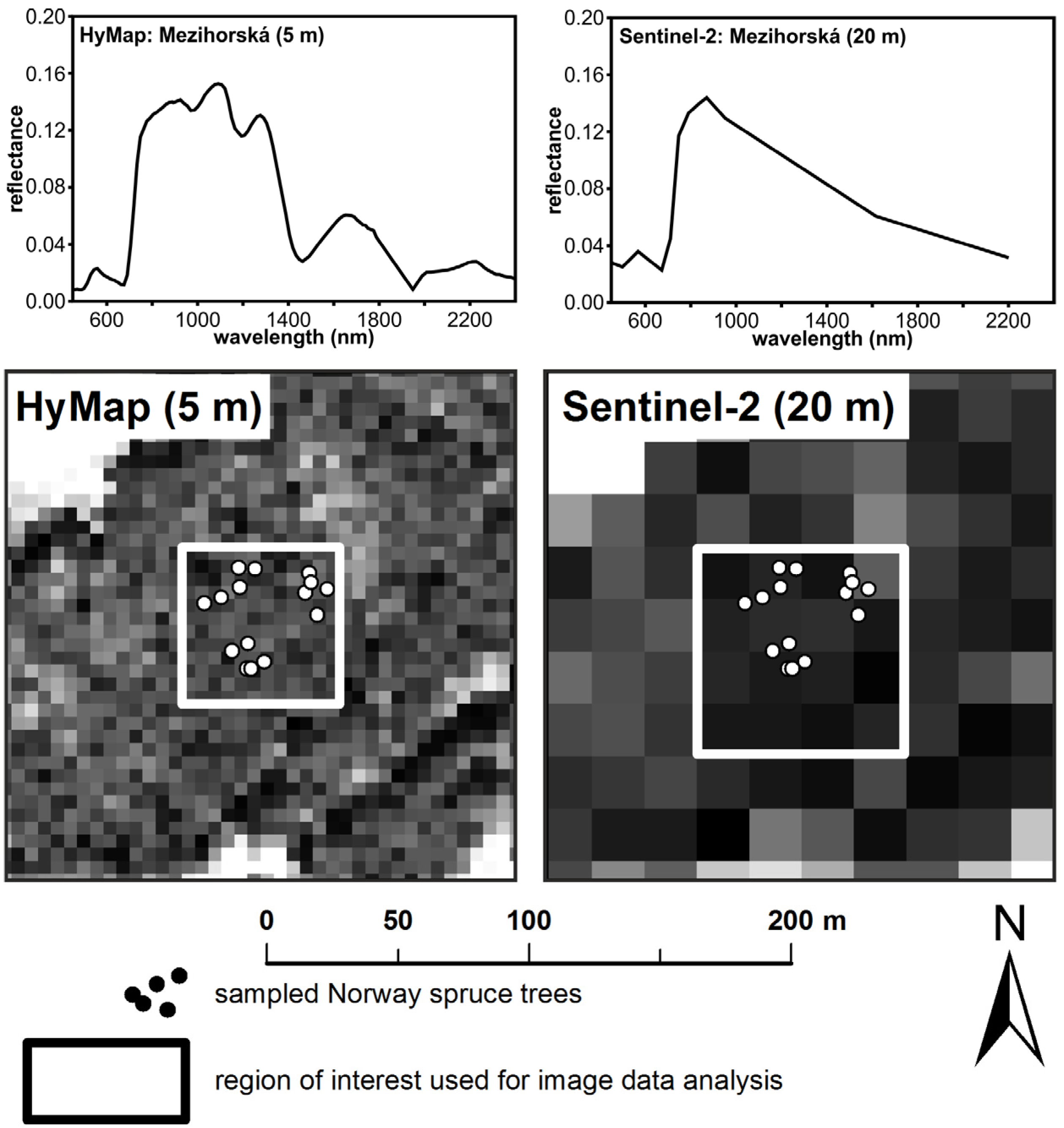Forests 07 00226 g002