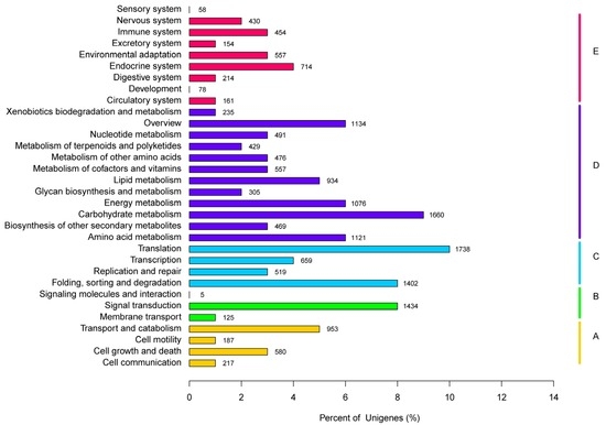 K What are you looking for in a Motherboard Review? | Page 2