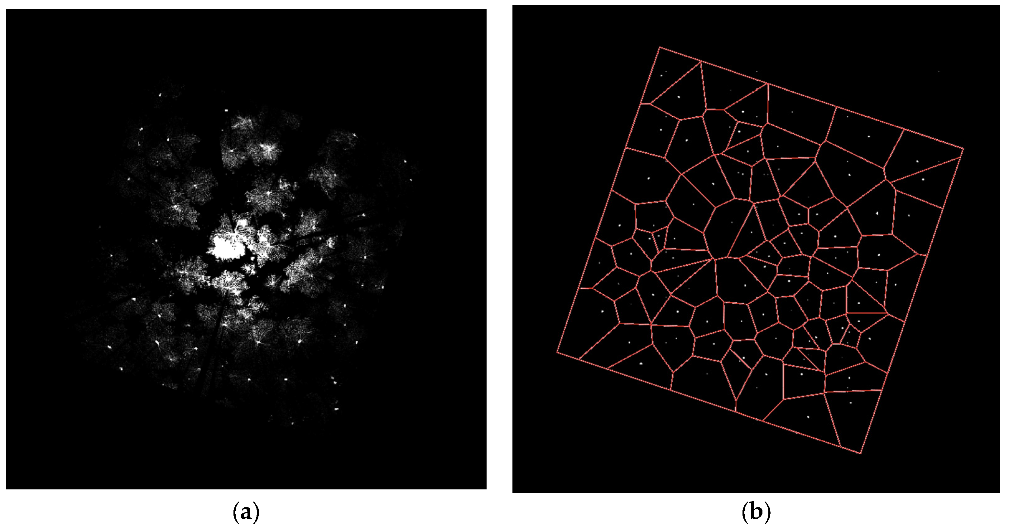 Forests 07 00252 g006