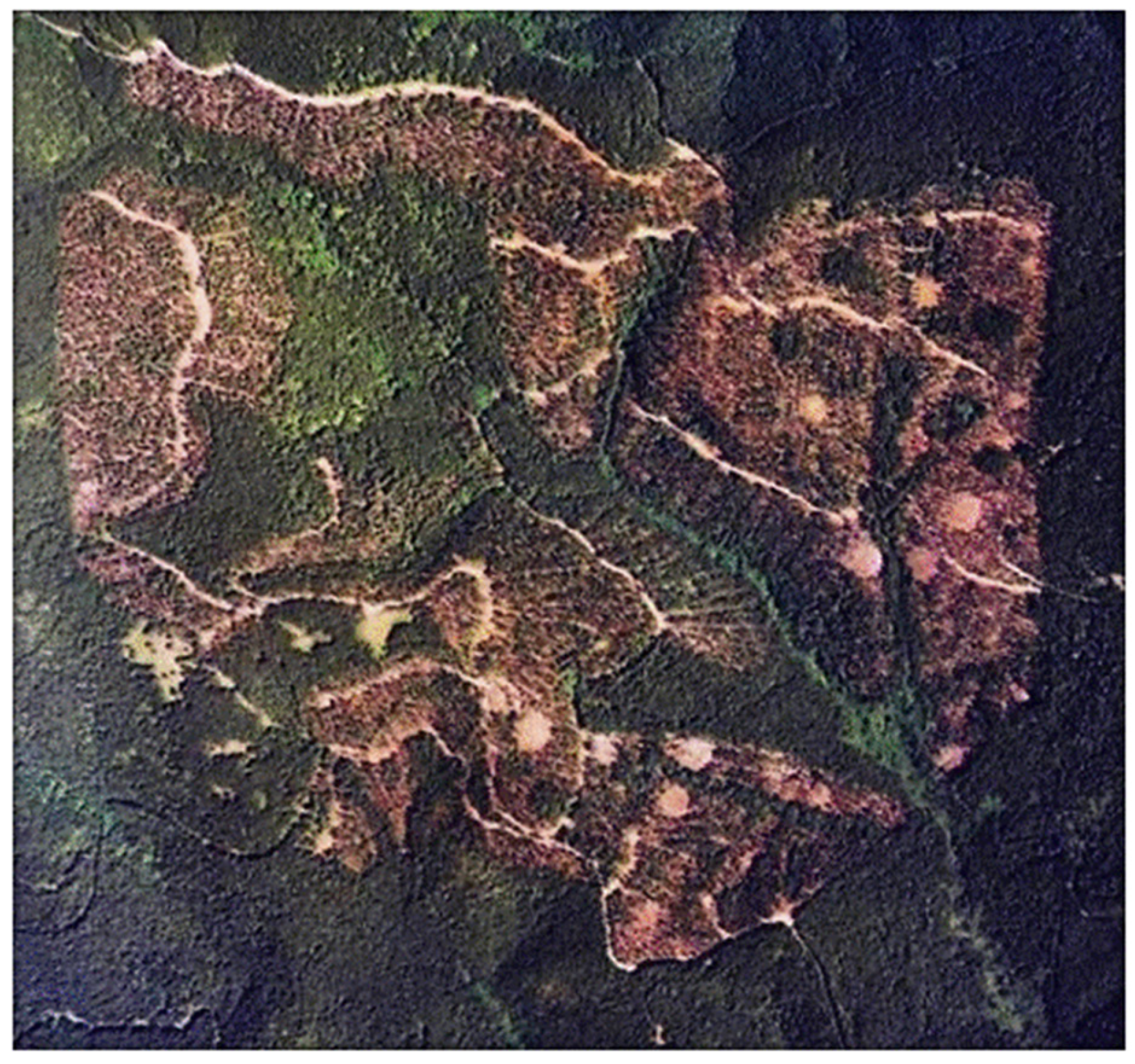 Forests 07 00310 g003