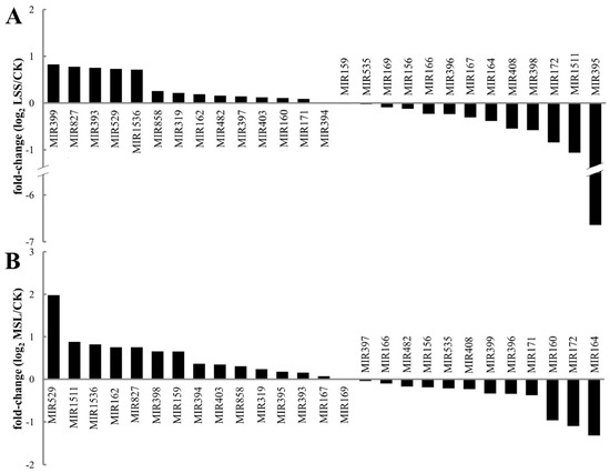 169枚 Identification and Target Prediction of MicroRNAs in Ulmus