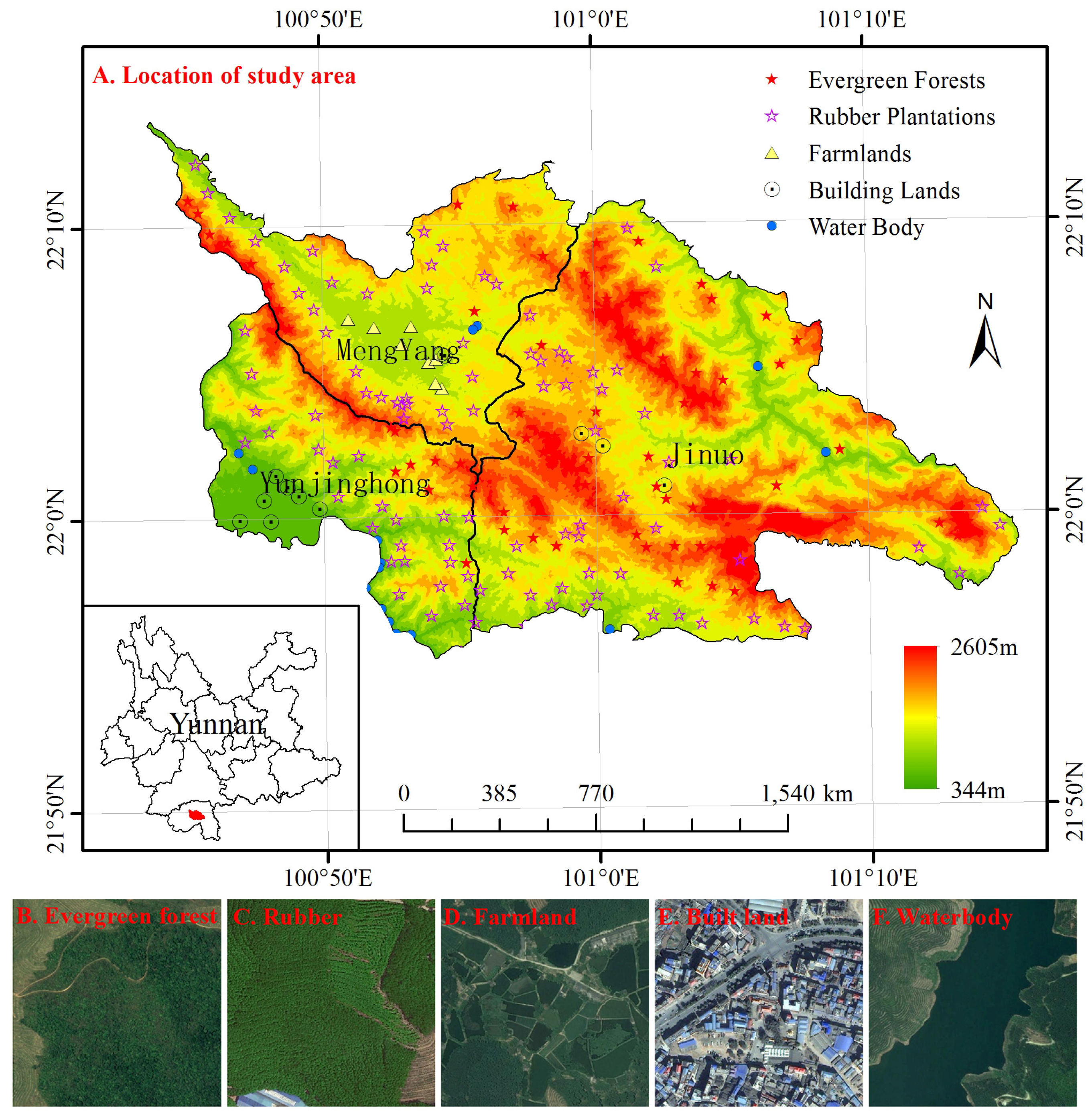 Forests 08 00034 g001