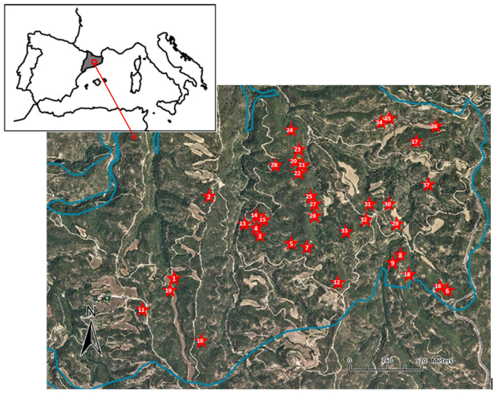 Forests 08 00055 g001