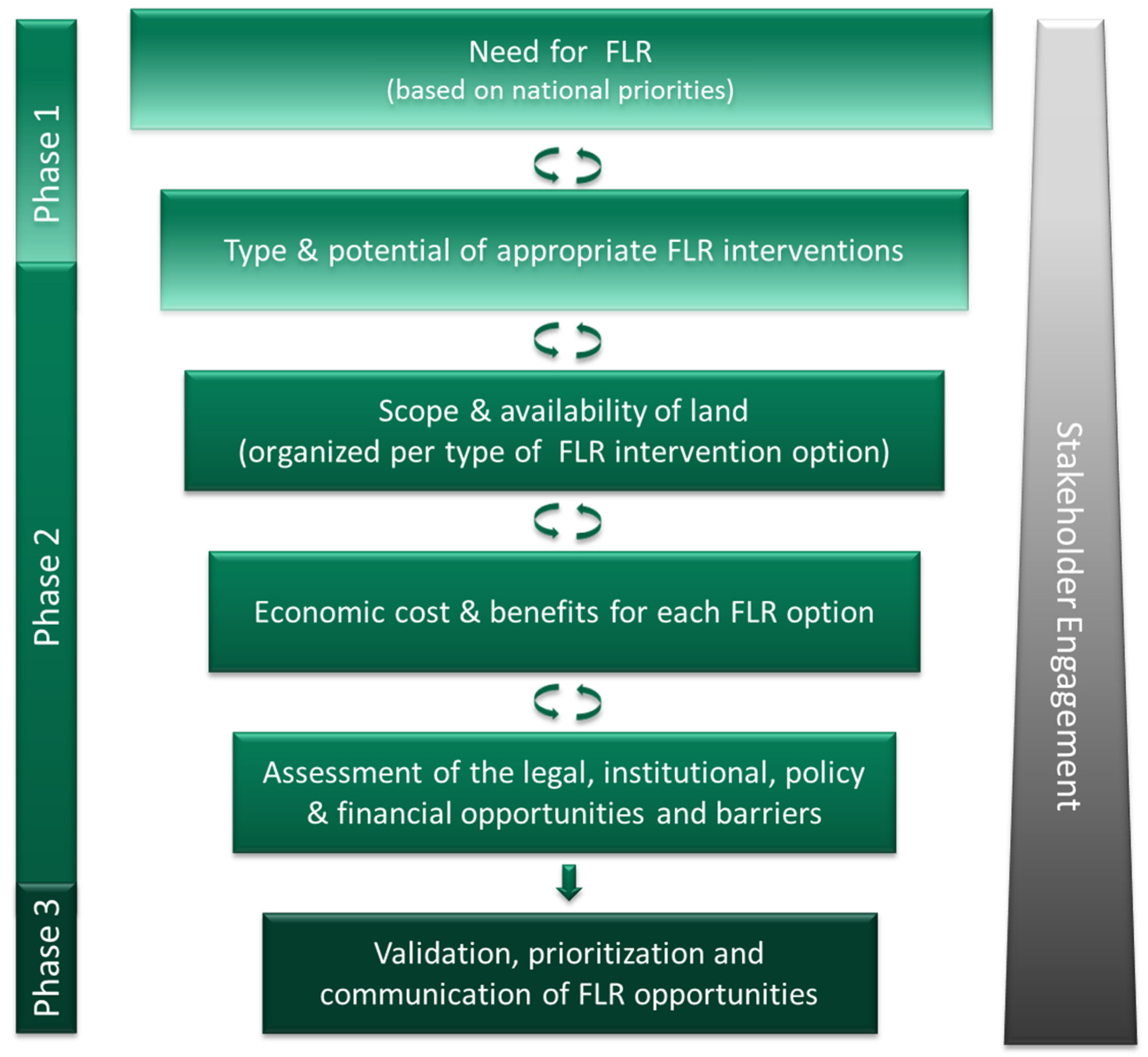 Forests 08 00061 g001 550