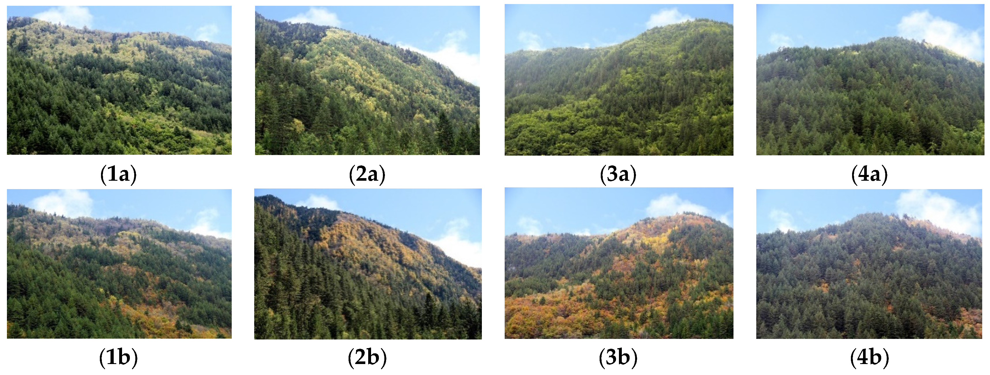 Forests 08 00063 g001 550