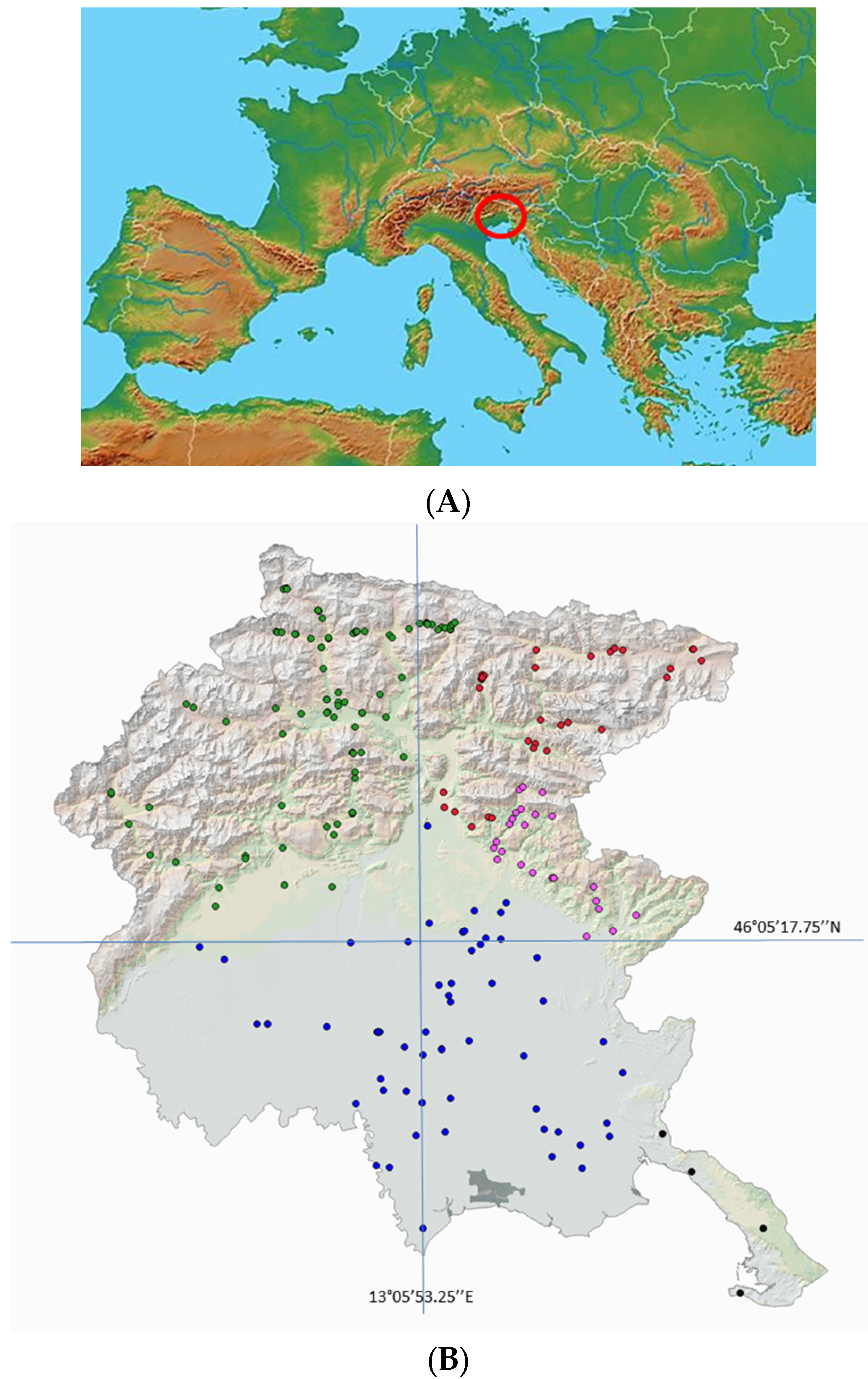 Forests 08 00081 g001 550