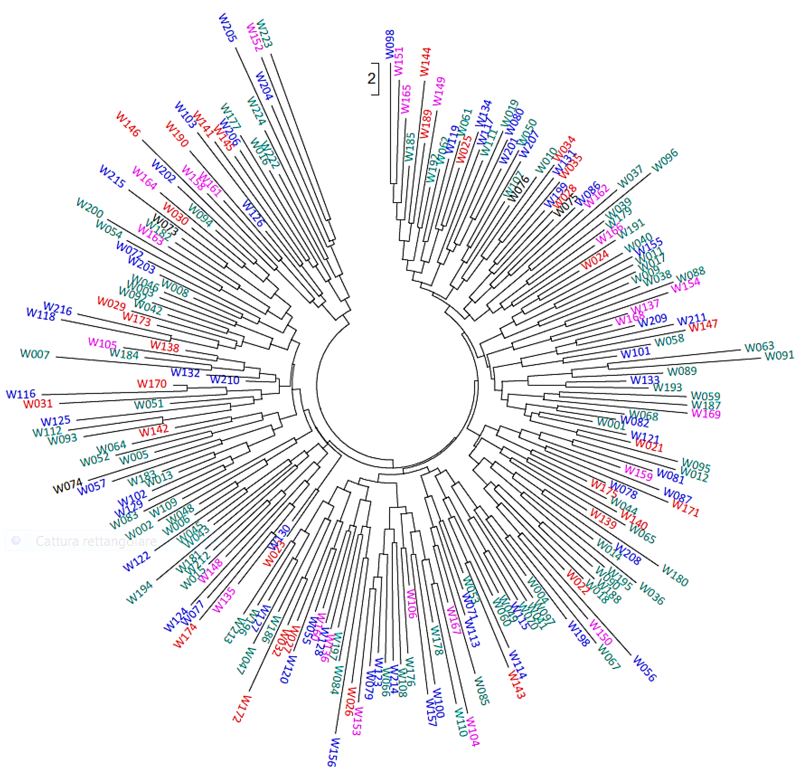 Forests 08 00081 g002 550