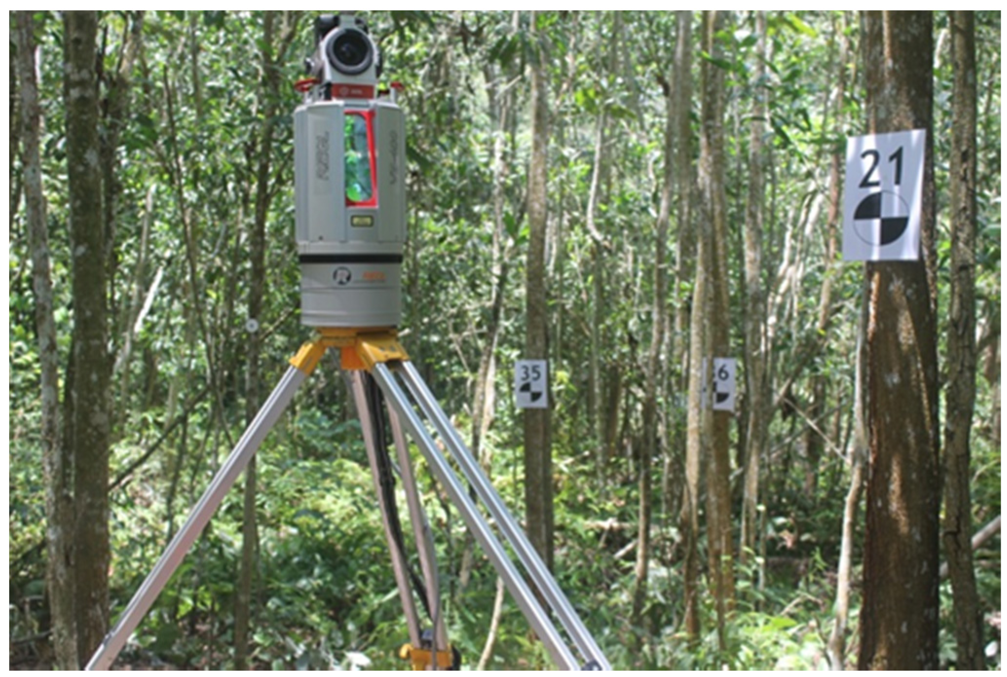 Forests 08 00086 g004 550