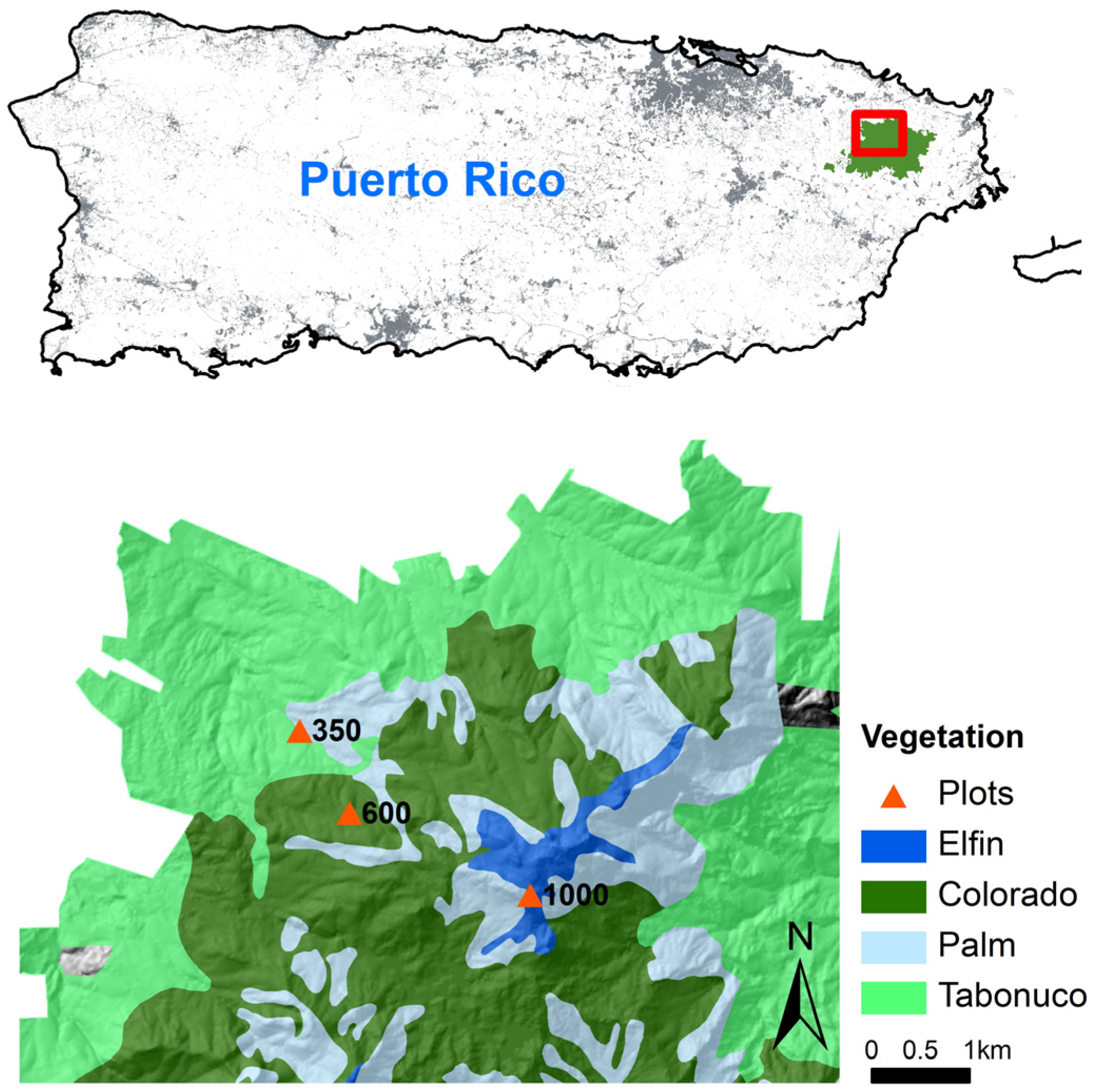 Forests 08 00090 g001