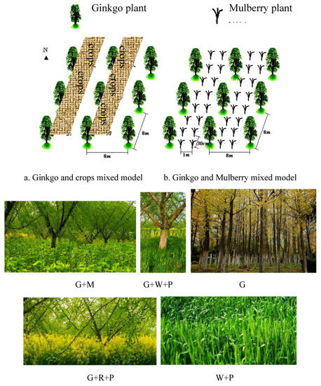 Sybo Games partners with Ecologi to plant 200,000 trees