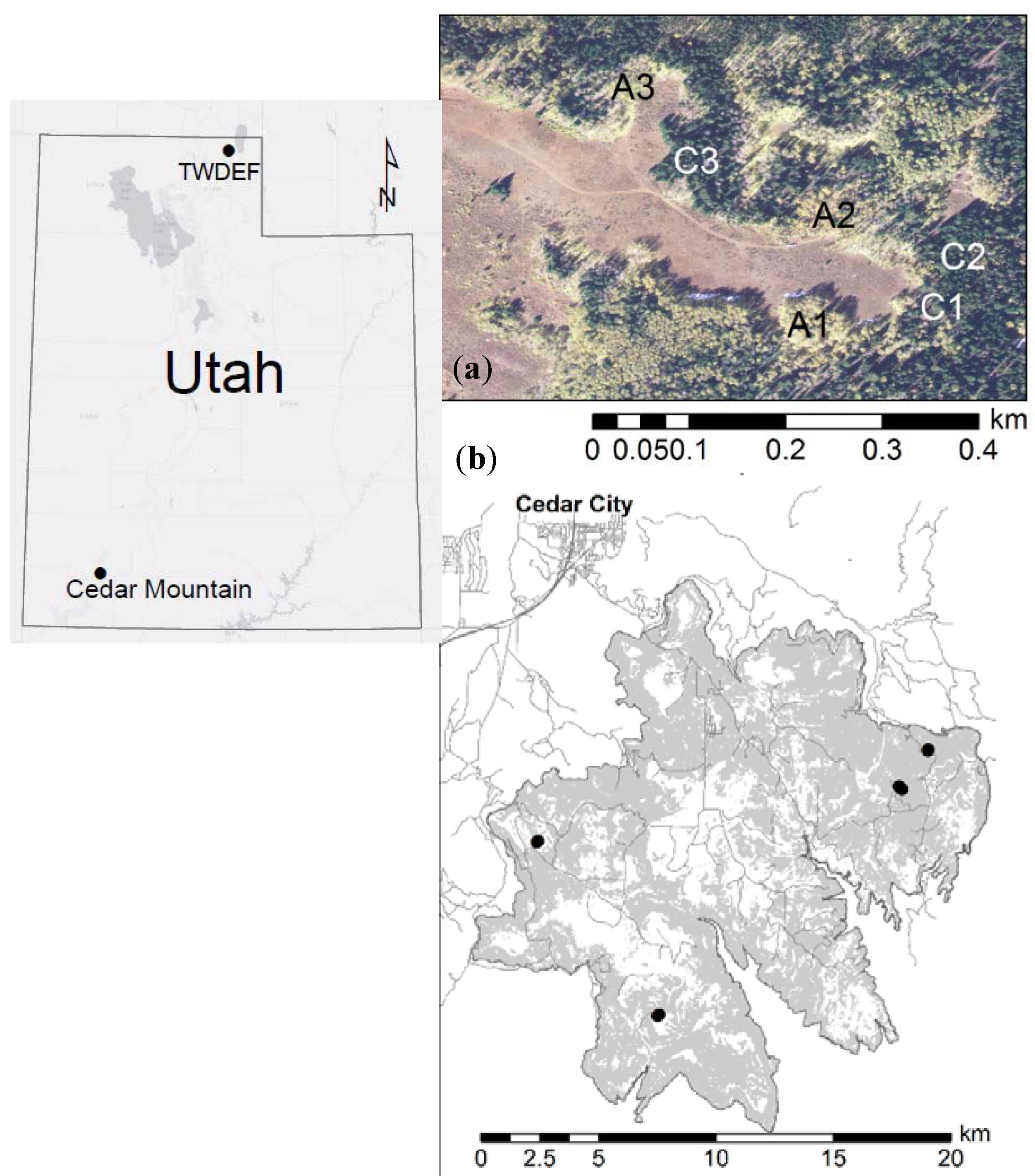 Forests 08 00118 g001