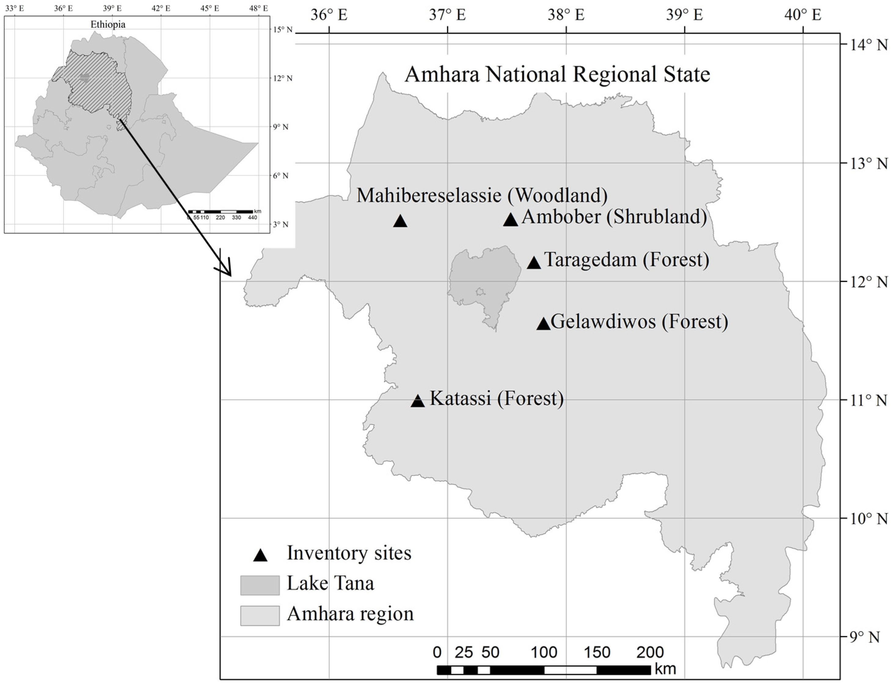 Forests 08 00122 g001 550