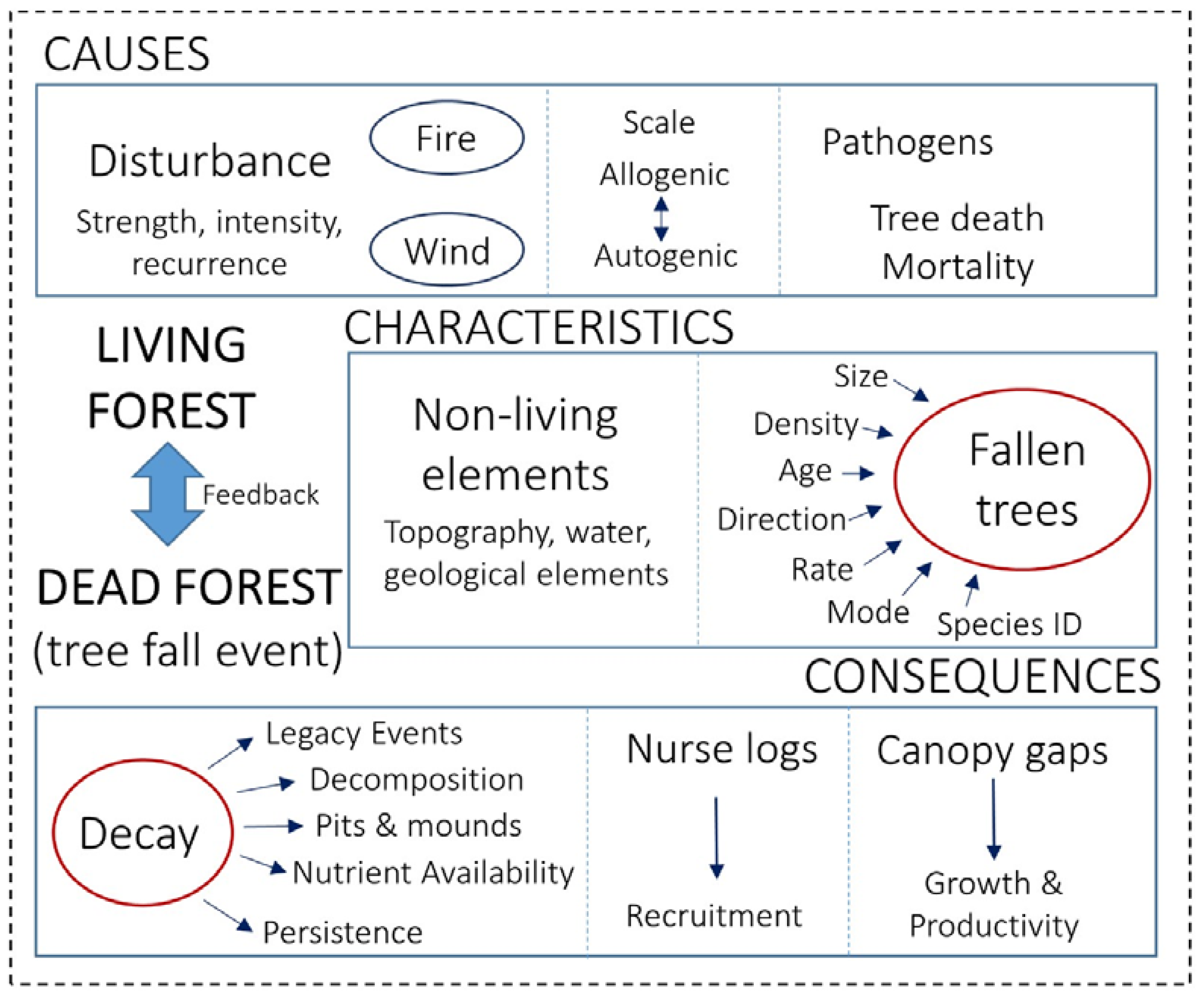 Forests 08 00123 g001 550