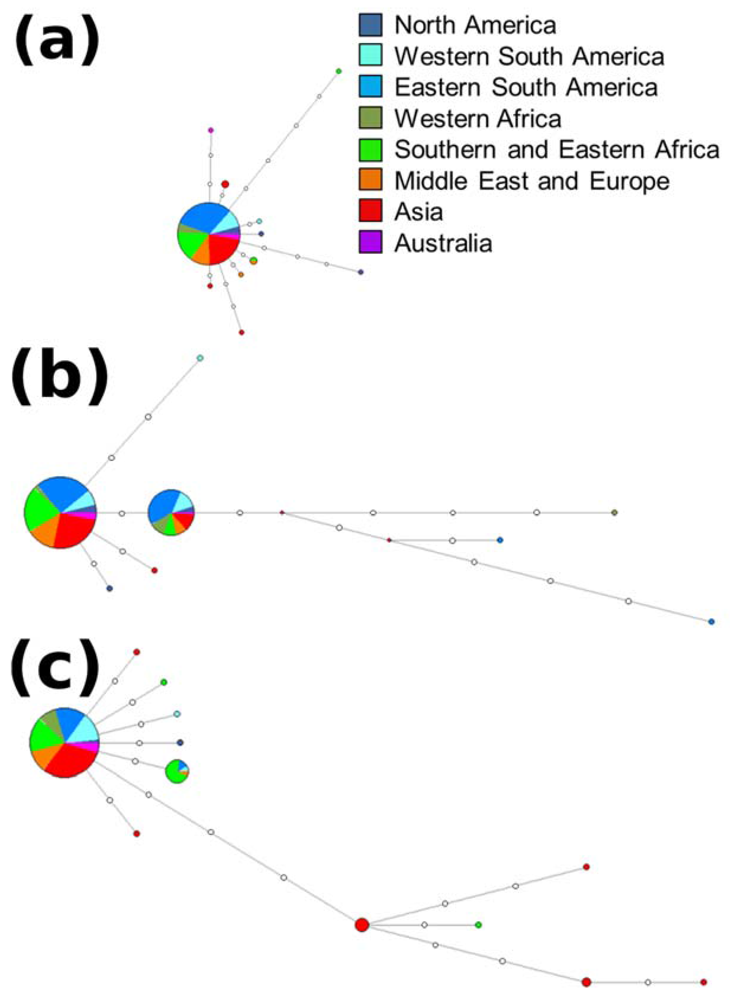 Forests 08 00145 g003