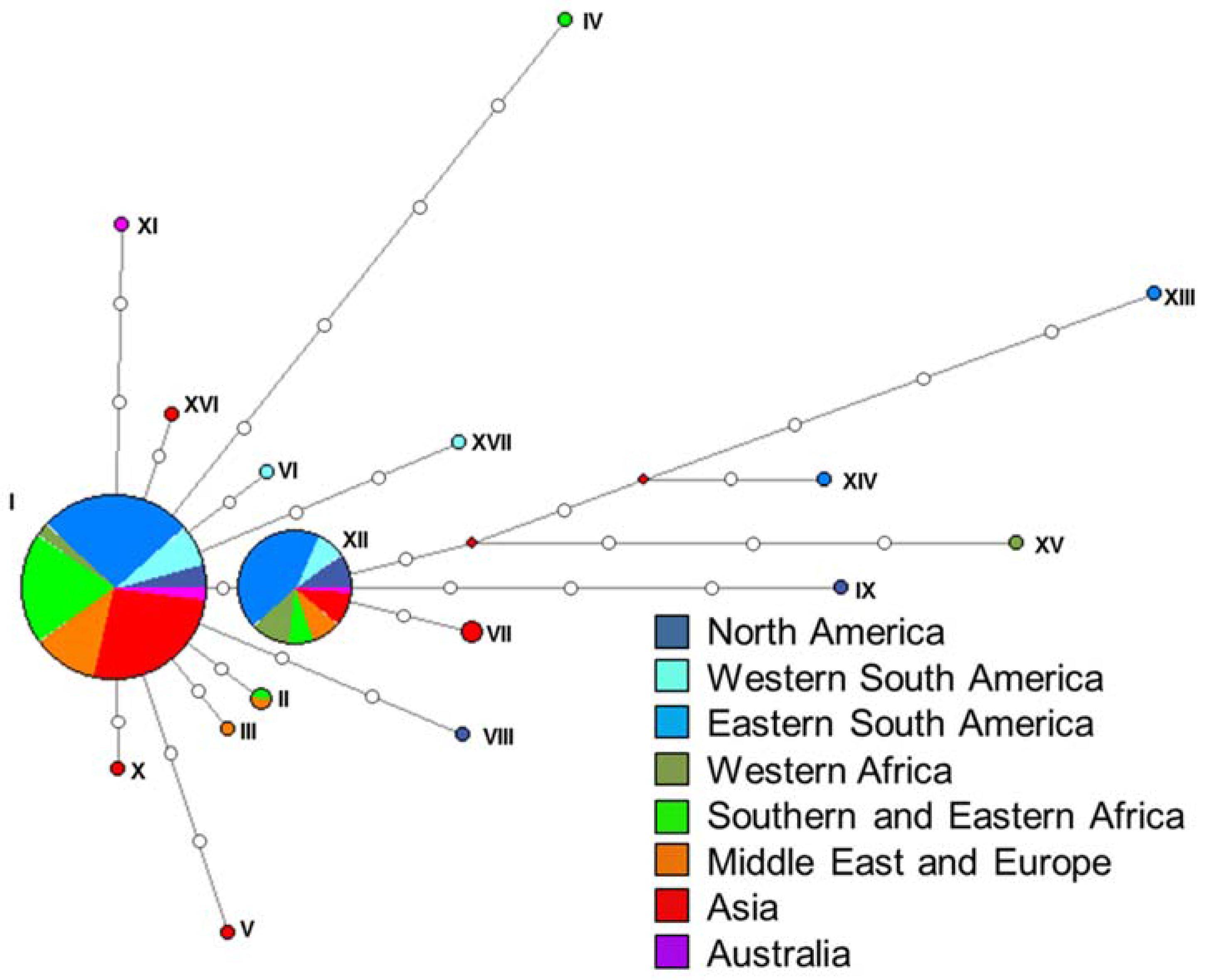 Forests 08 00145 g004