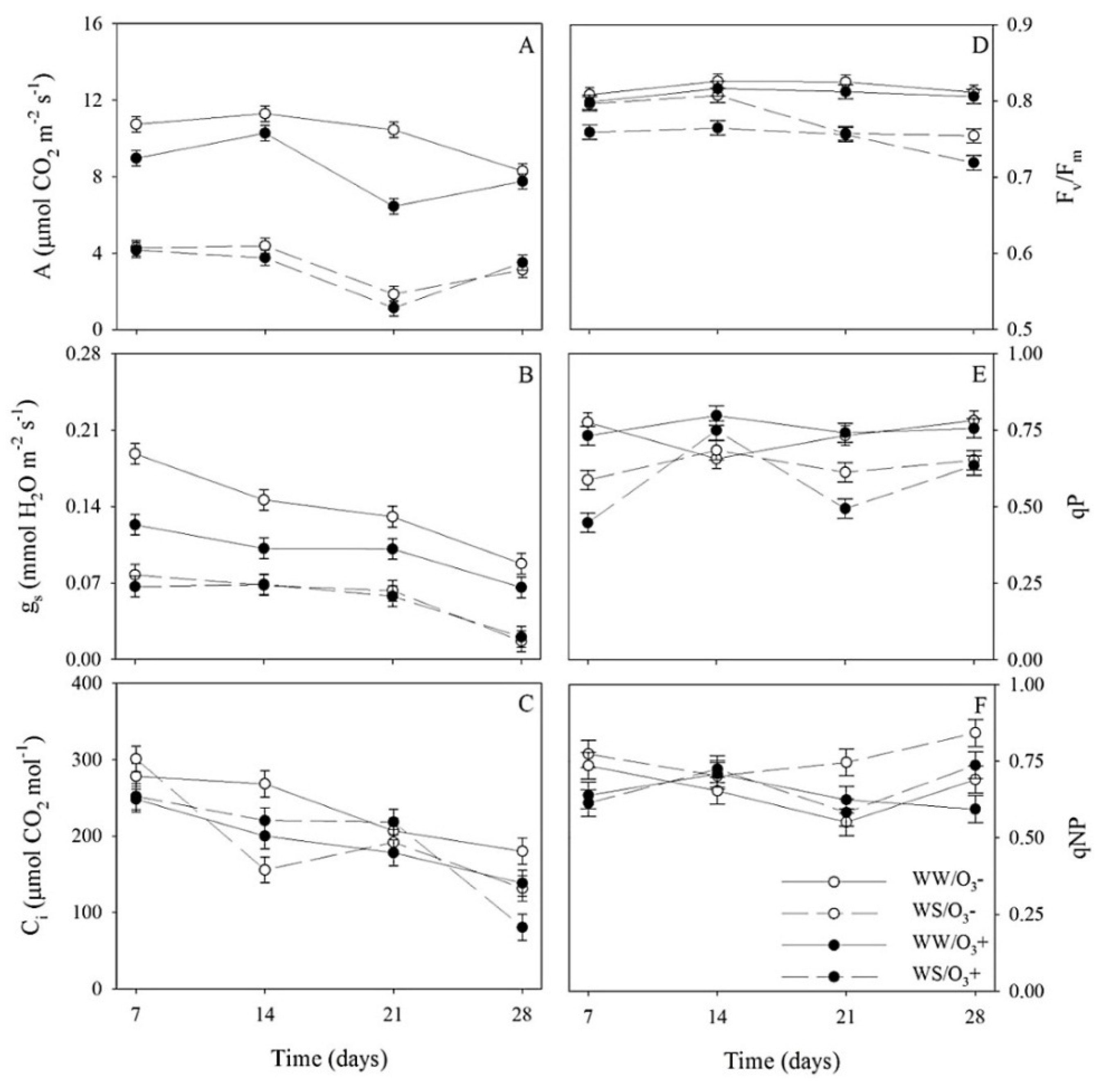 Forests 08 00148 g001