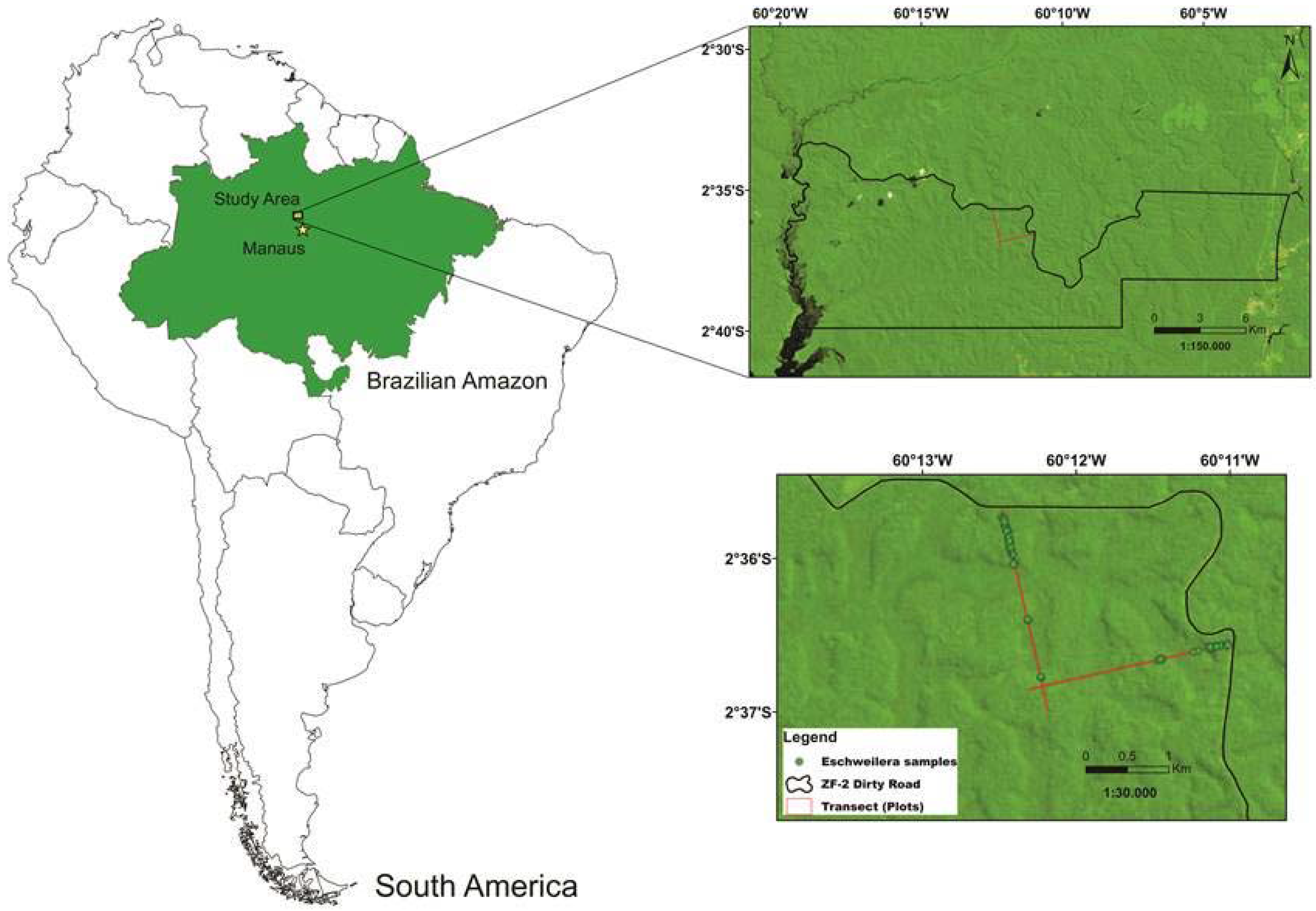 Forests 08 00154 g001 550