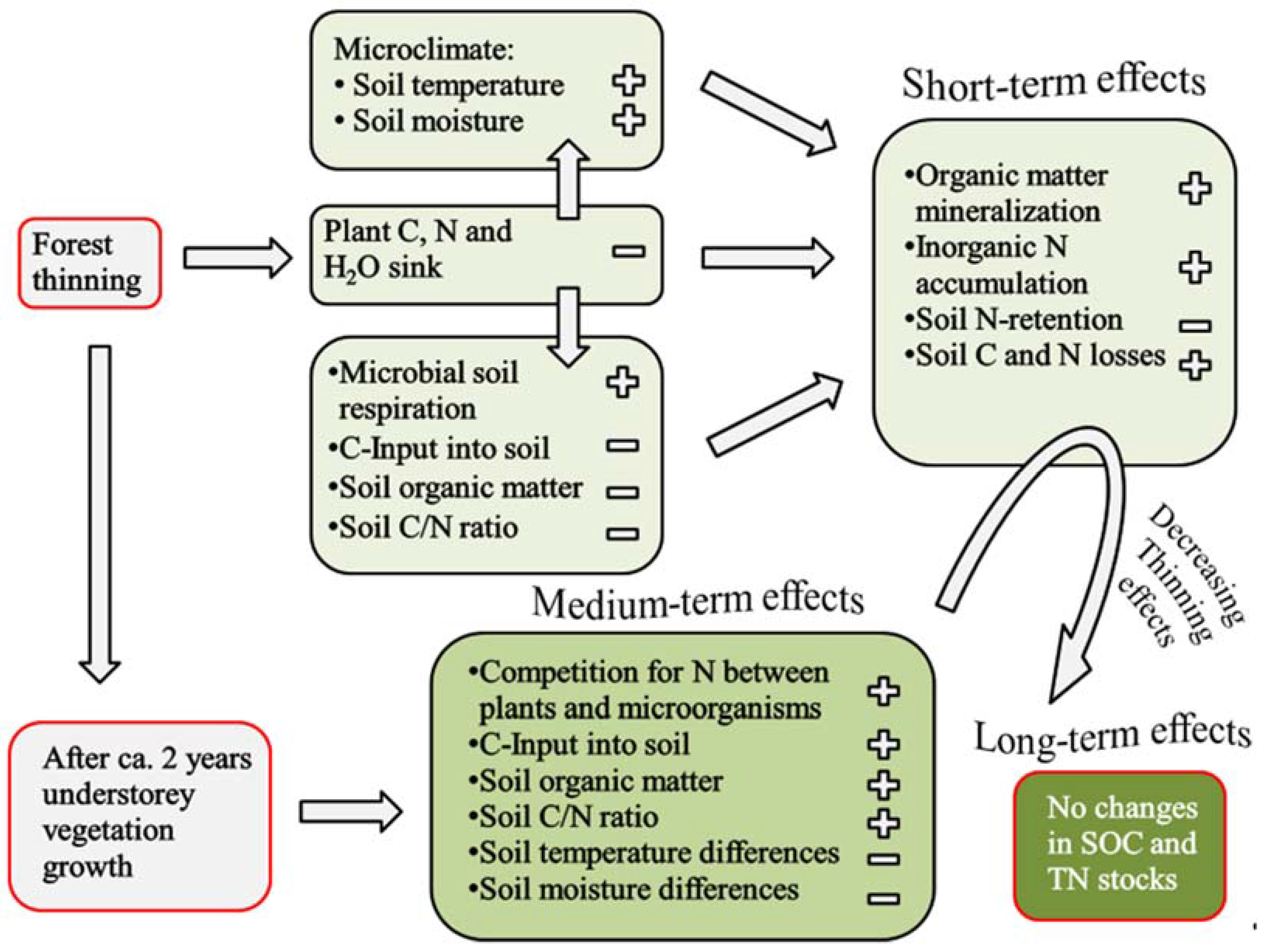 Forests 08 00167 g004