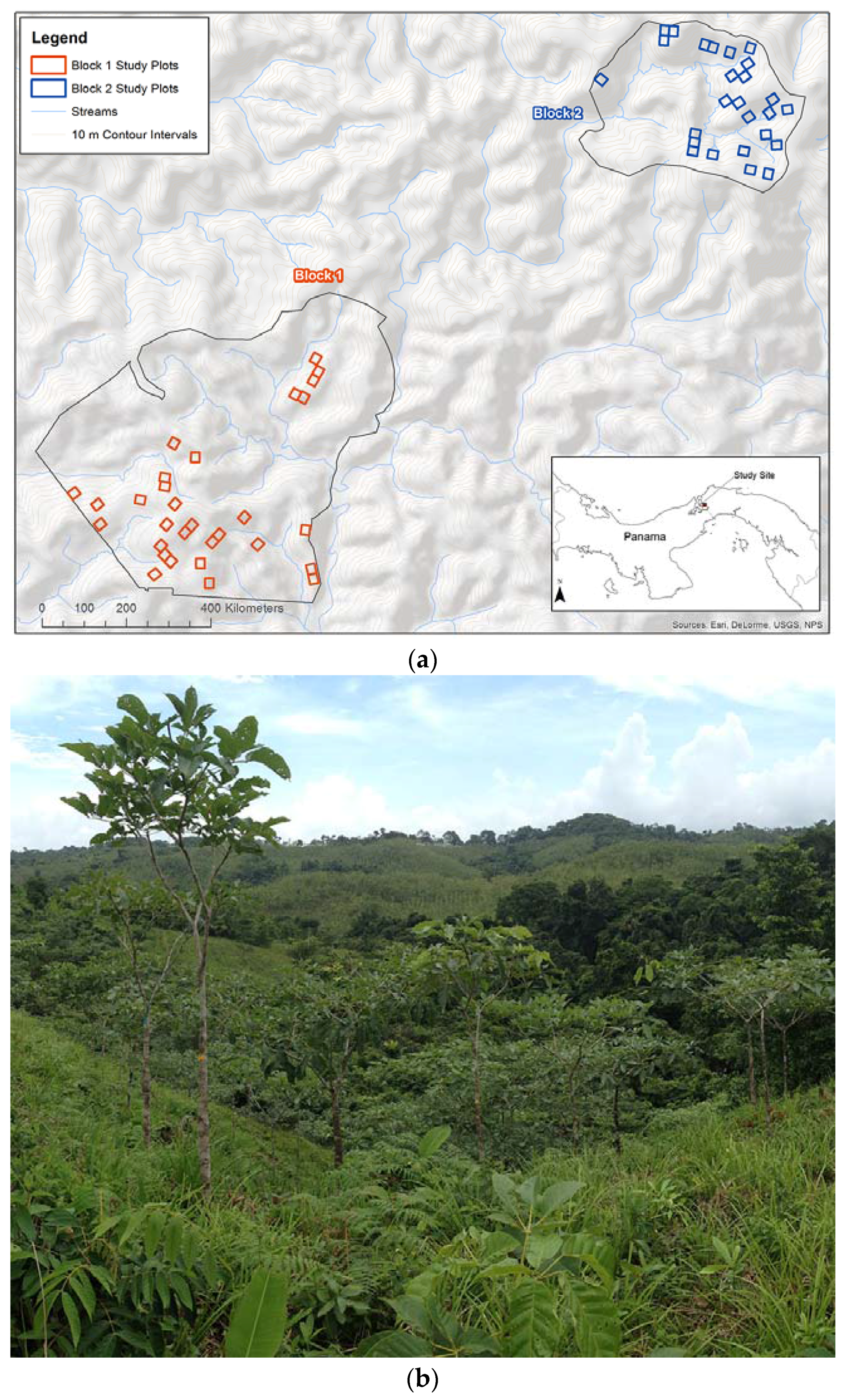 Forests Free Full Text Drones As A Tool For Monoculture - 