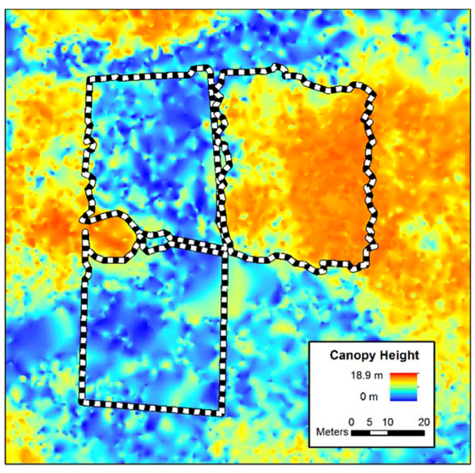 Forests 08 00168 g002 550