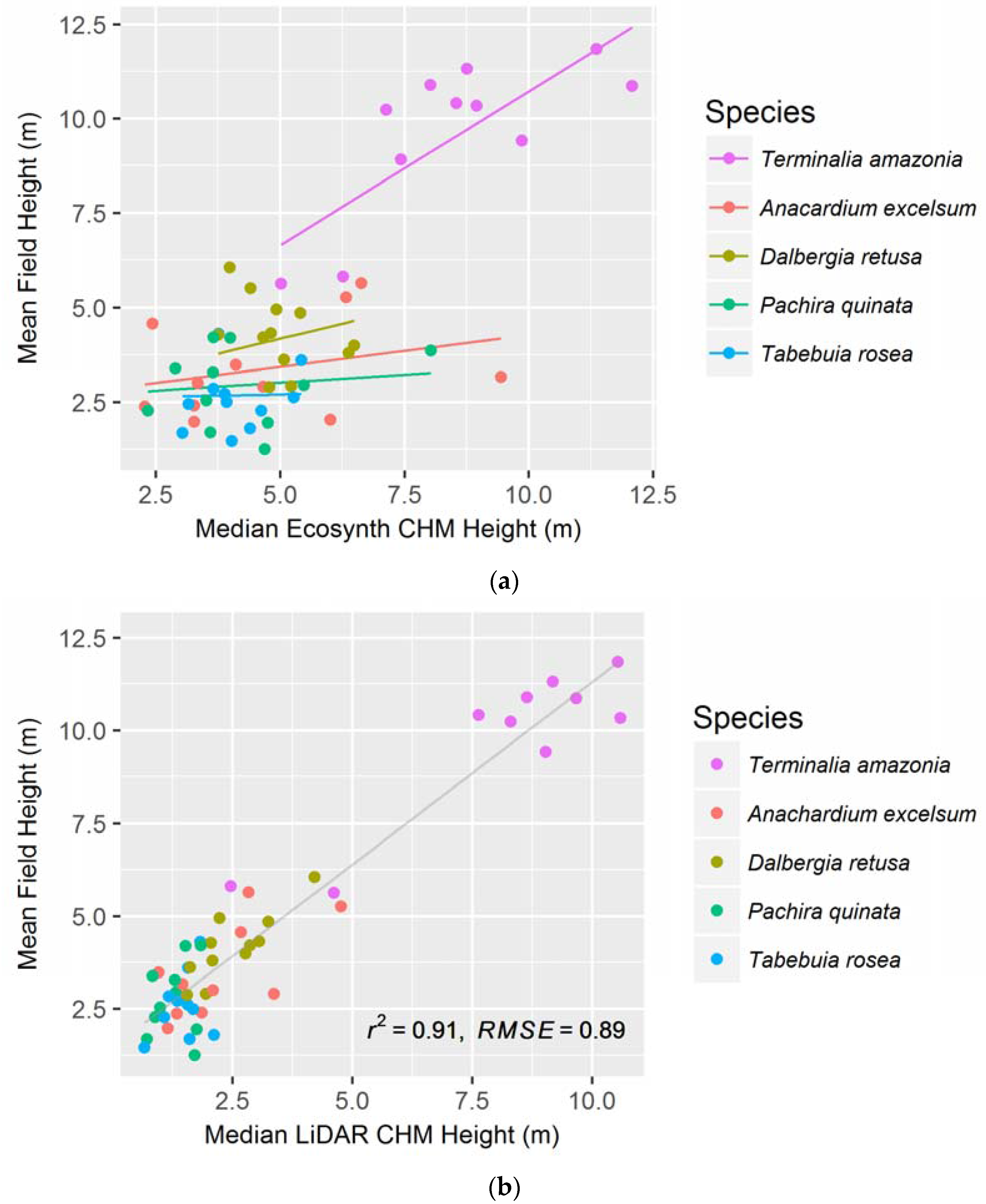 Forests 08 00168 g003 550