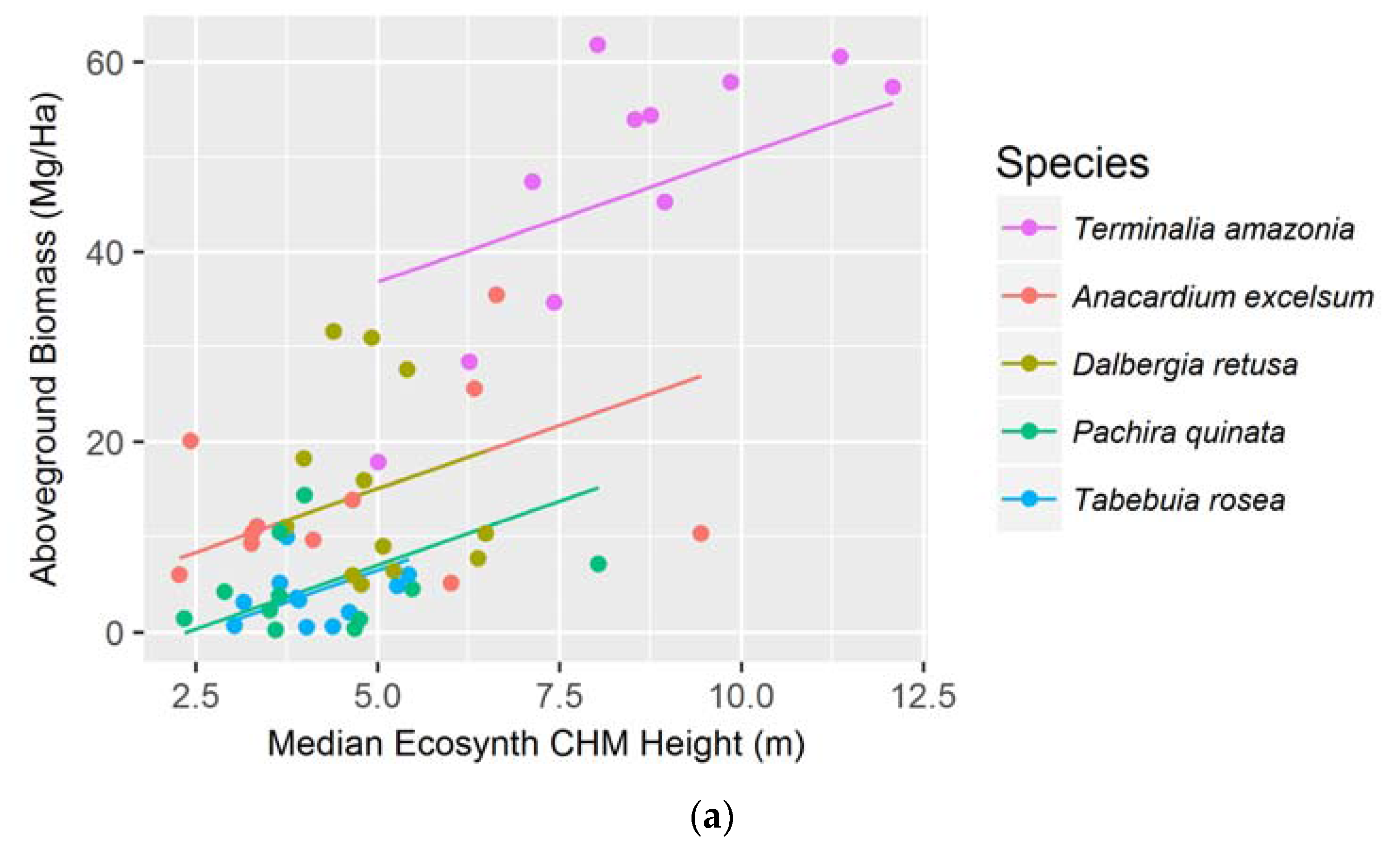 Forests 08 00168 g004a 550